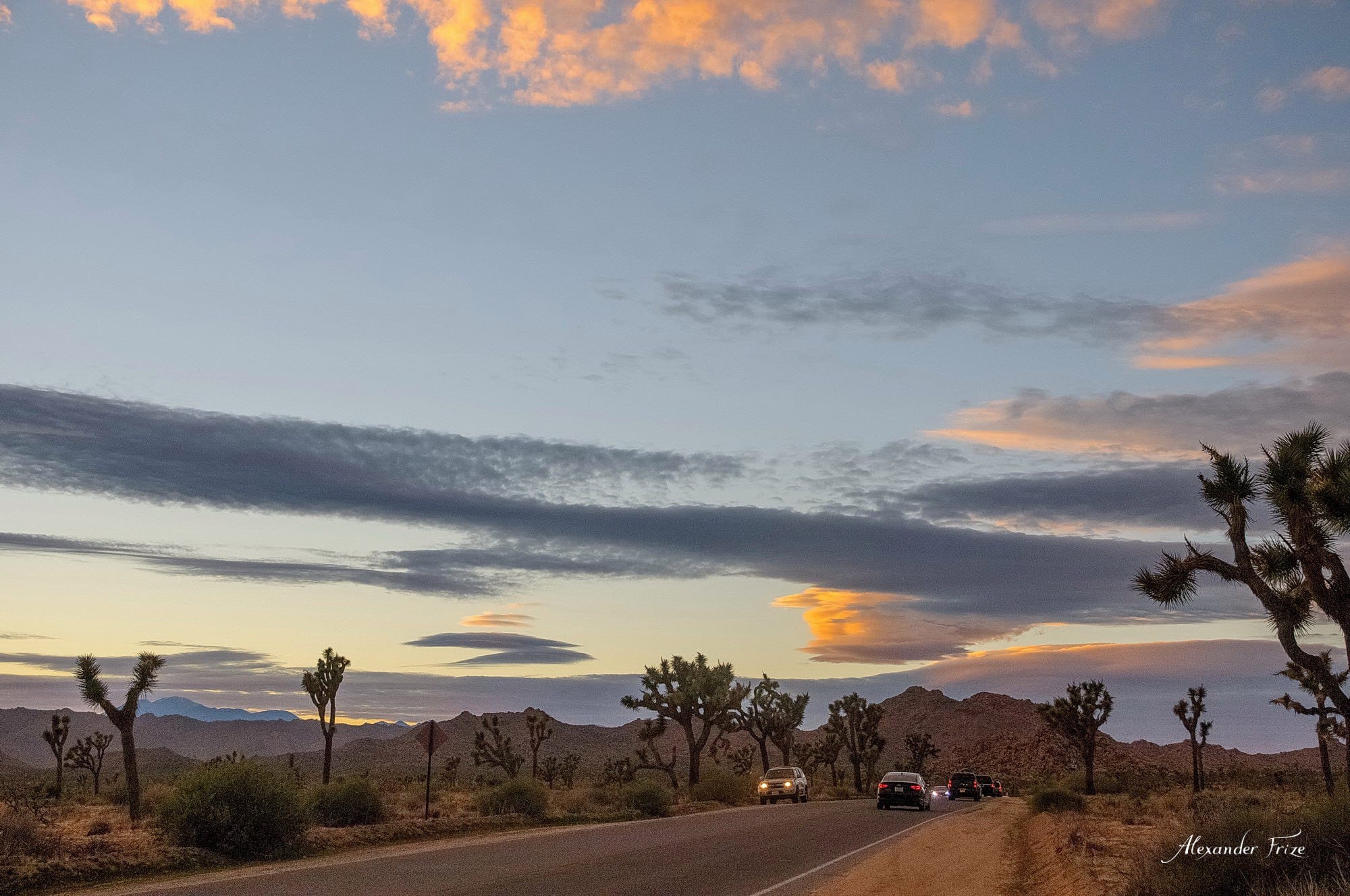 Joshua Tree