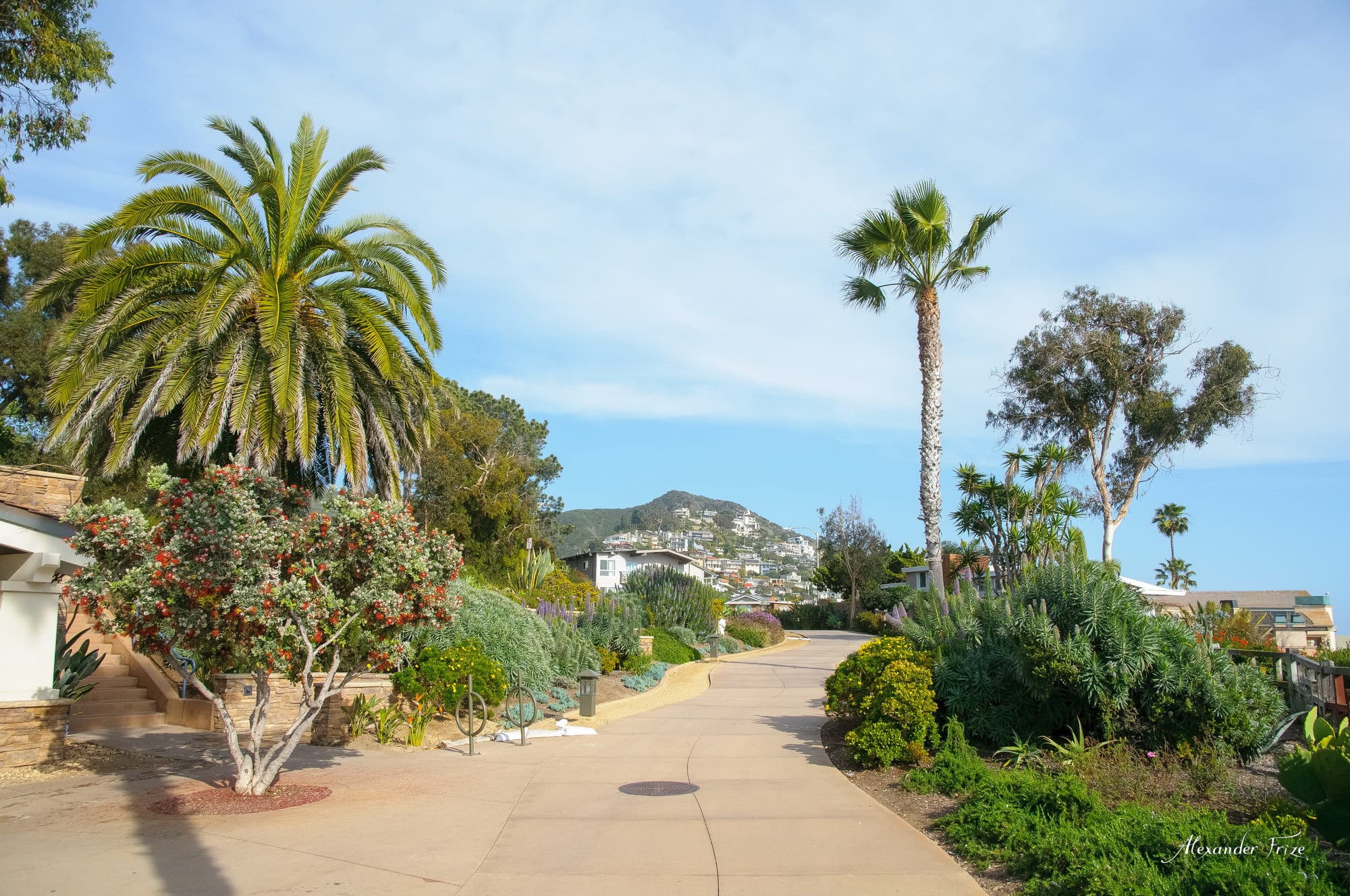 Laguna Beach – фотографии
