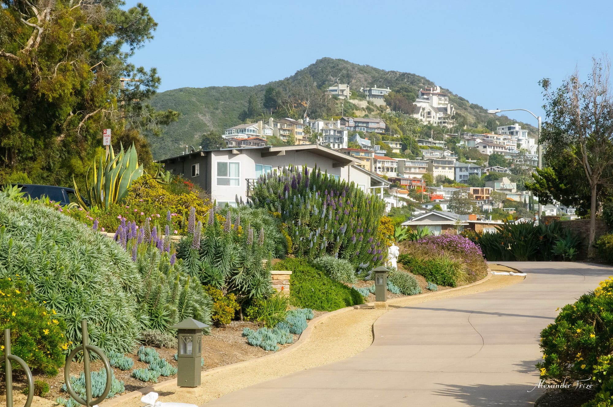 Laguna Beach – фотографии