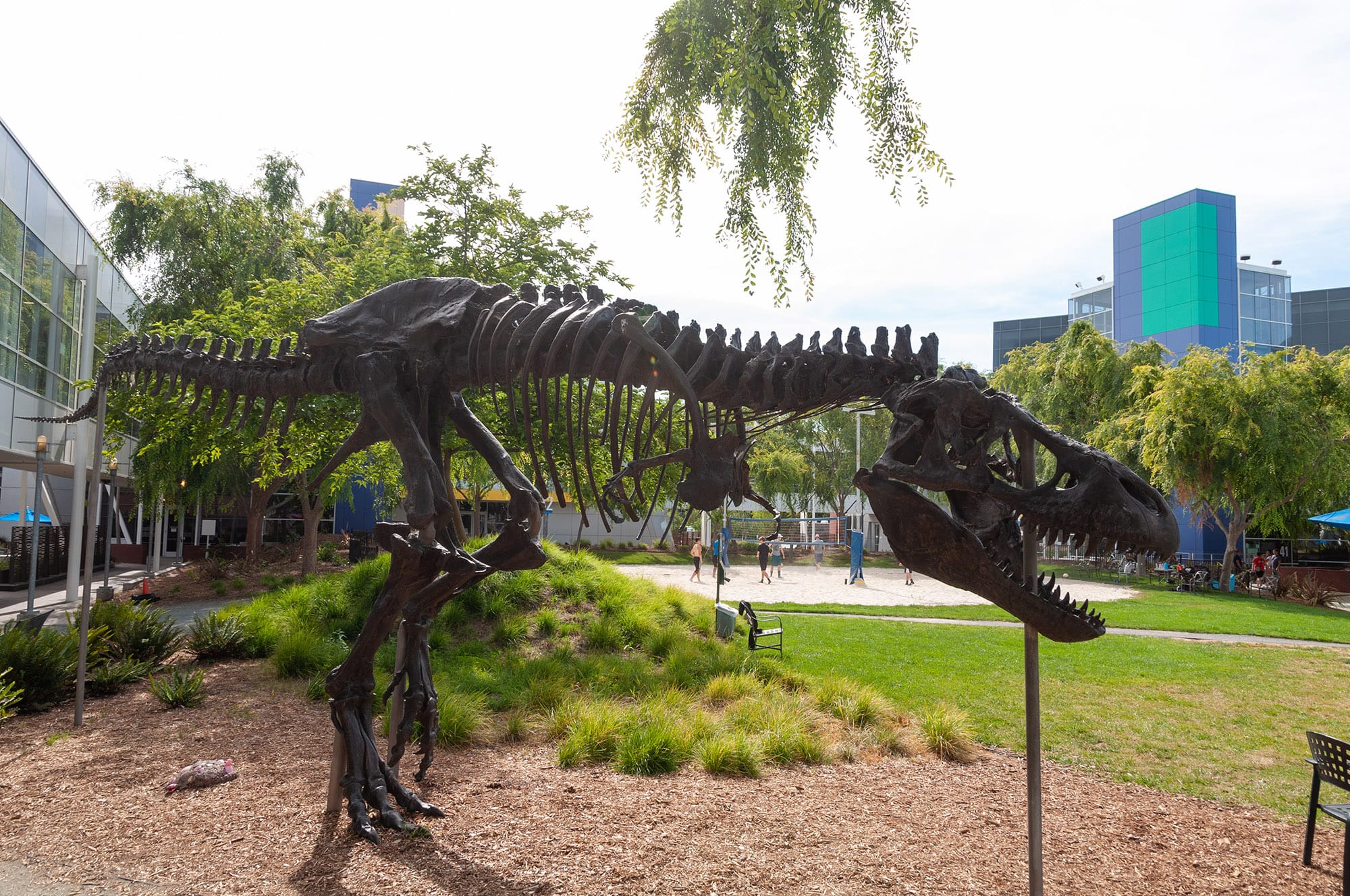 Microsoft и Google, Mountain View, CA