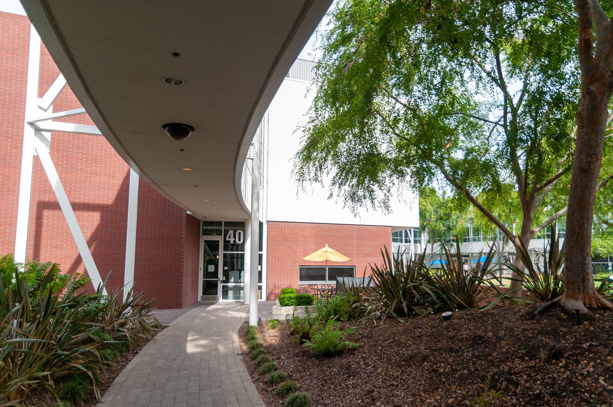 Microsoft и Google, Mountain View, CA