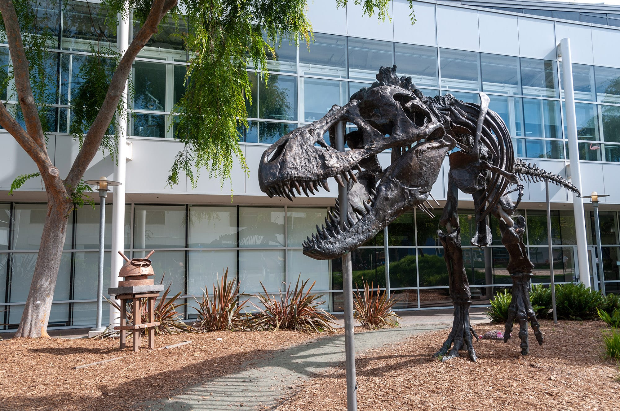 Microsoft и Google, Mountain View, CA
