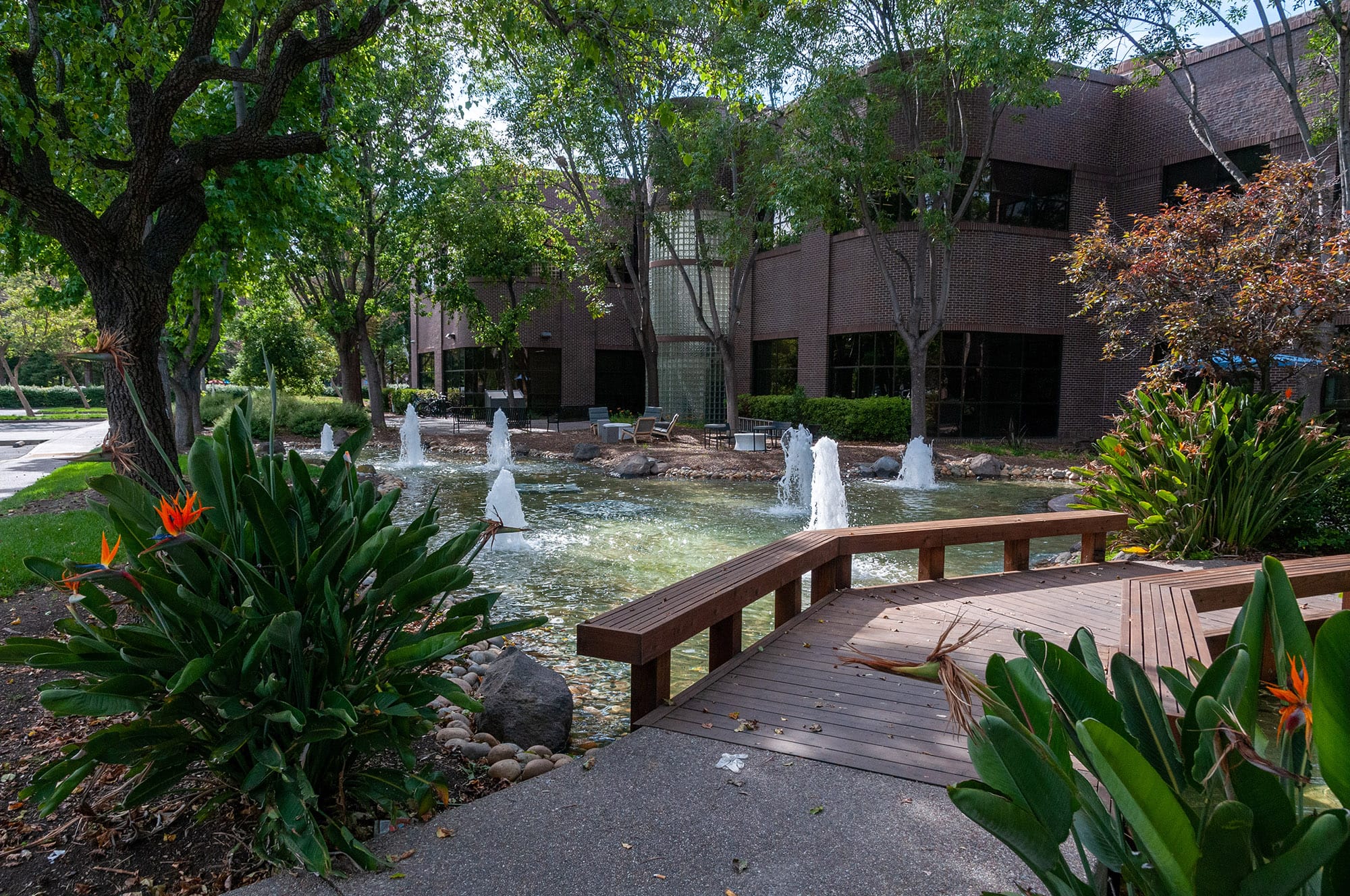 Microsoft и Google, Mountain View, CA