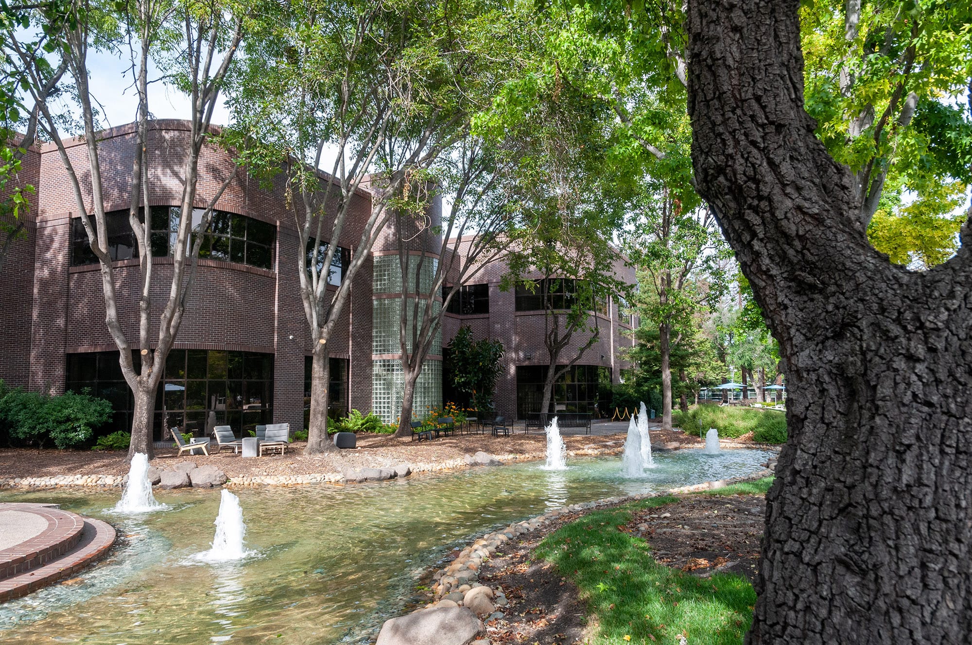 Microsoft и Google, Mountain View, CA
