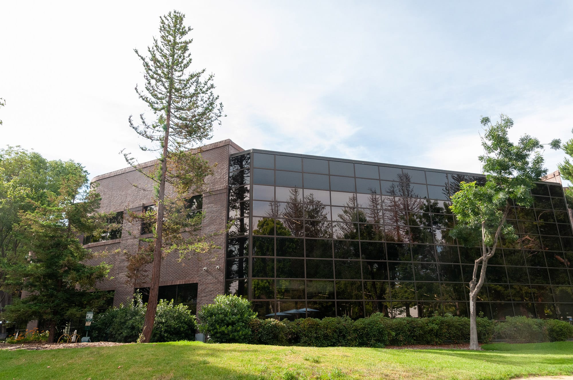 Microsoft и Google, Mountain View, CA
