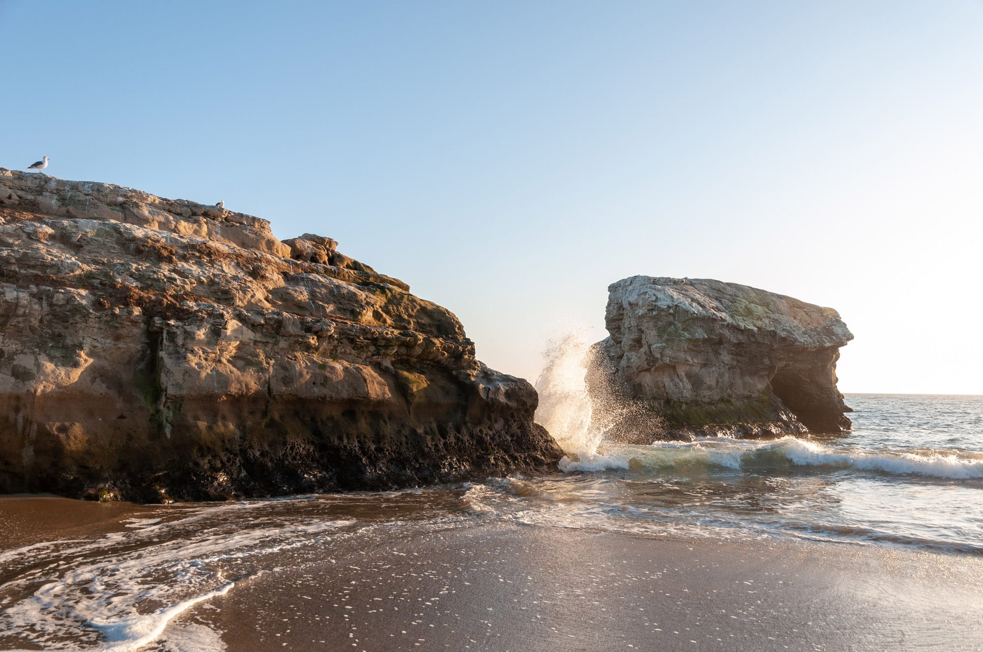 Natural Bridges State Beach, Santa Cruz, CA