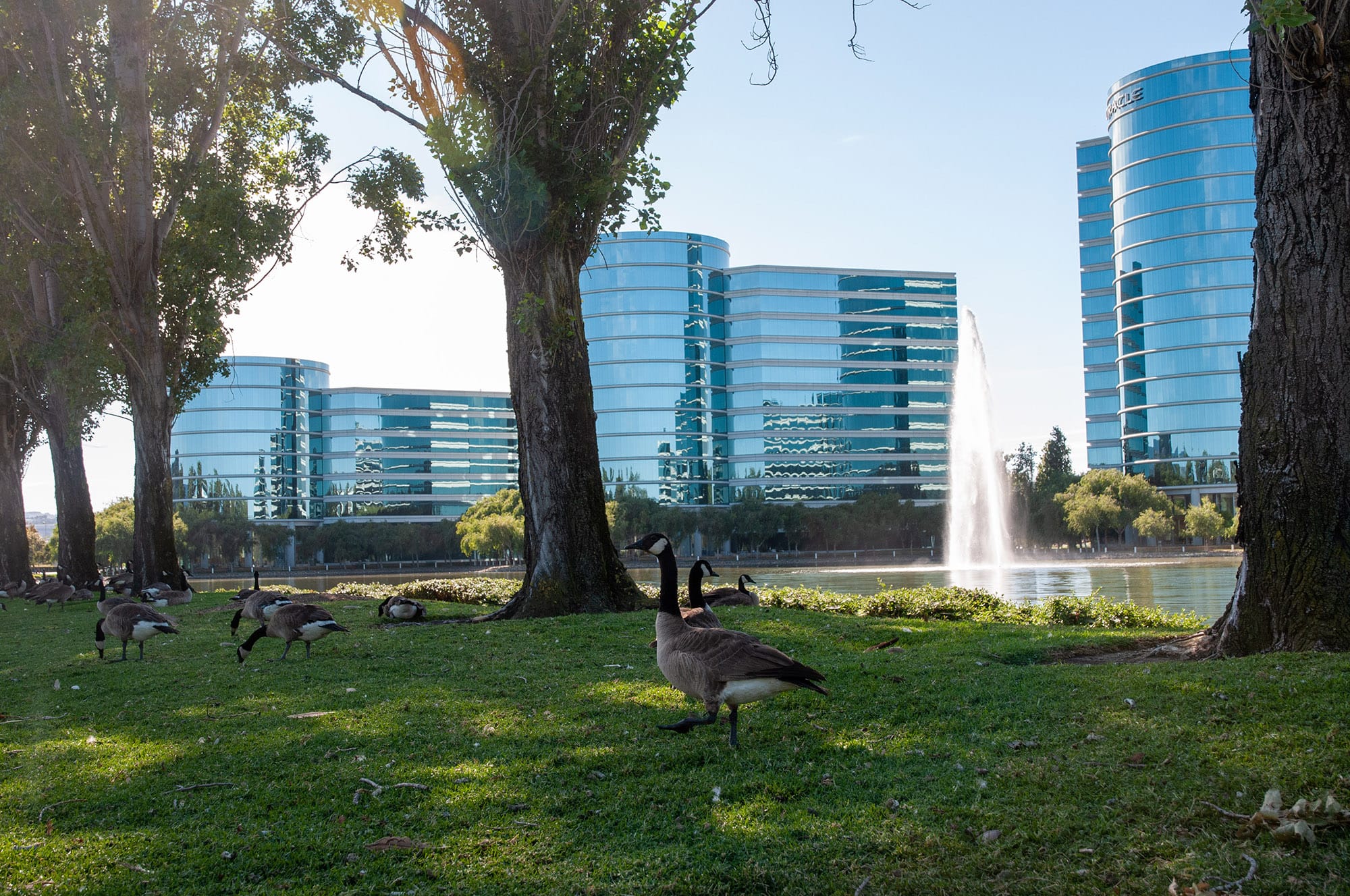 Oracle Headquarters, Redwood City, CA