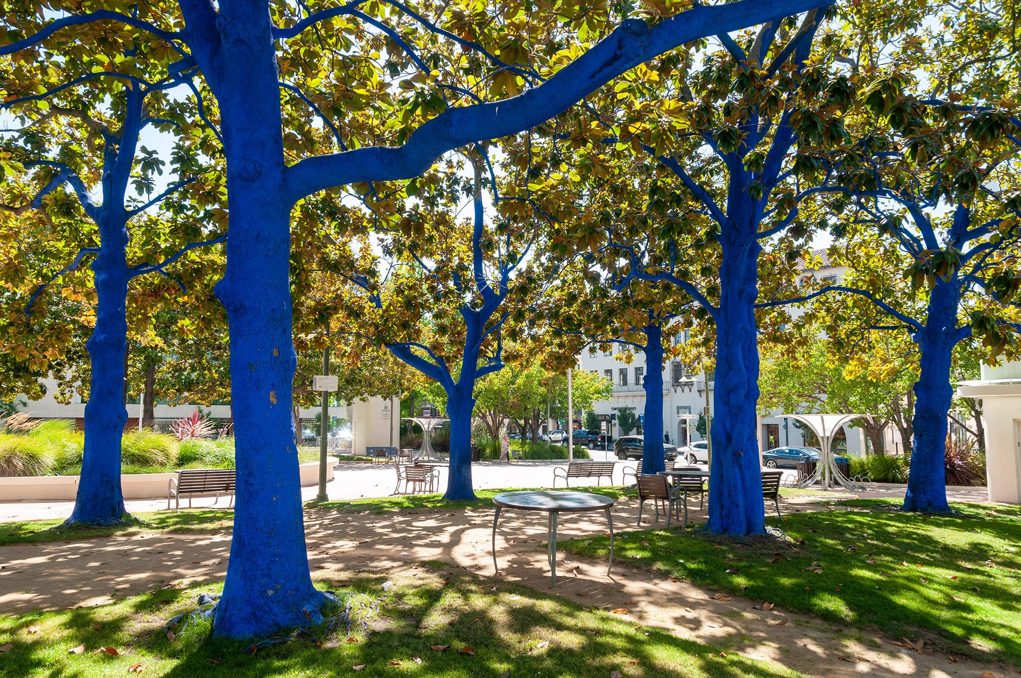 Palo Alto, CA