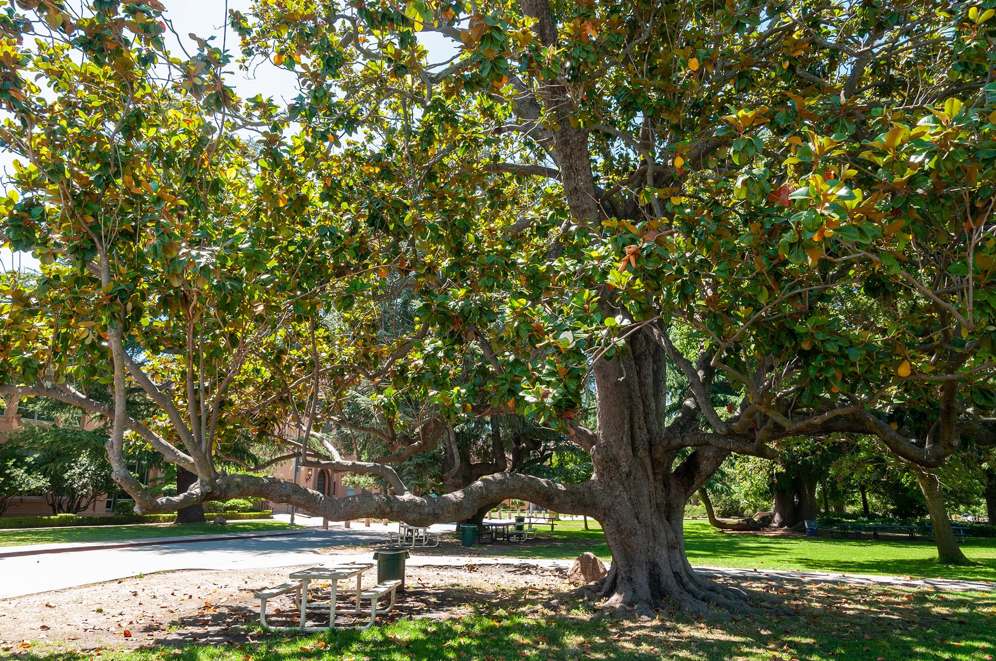 Redwood City, CA