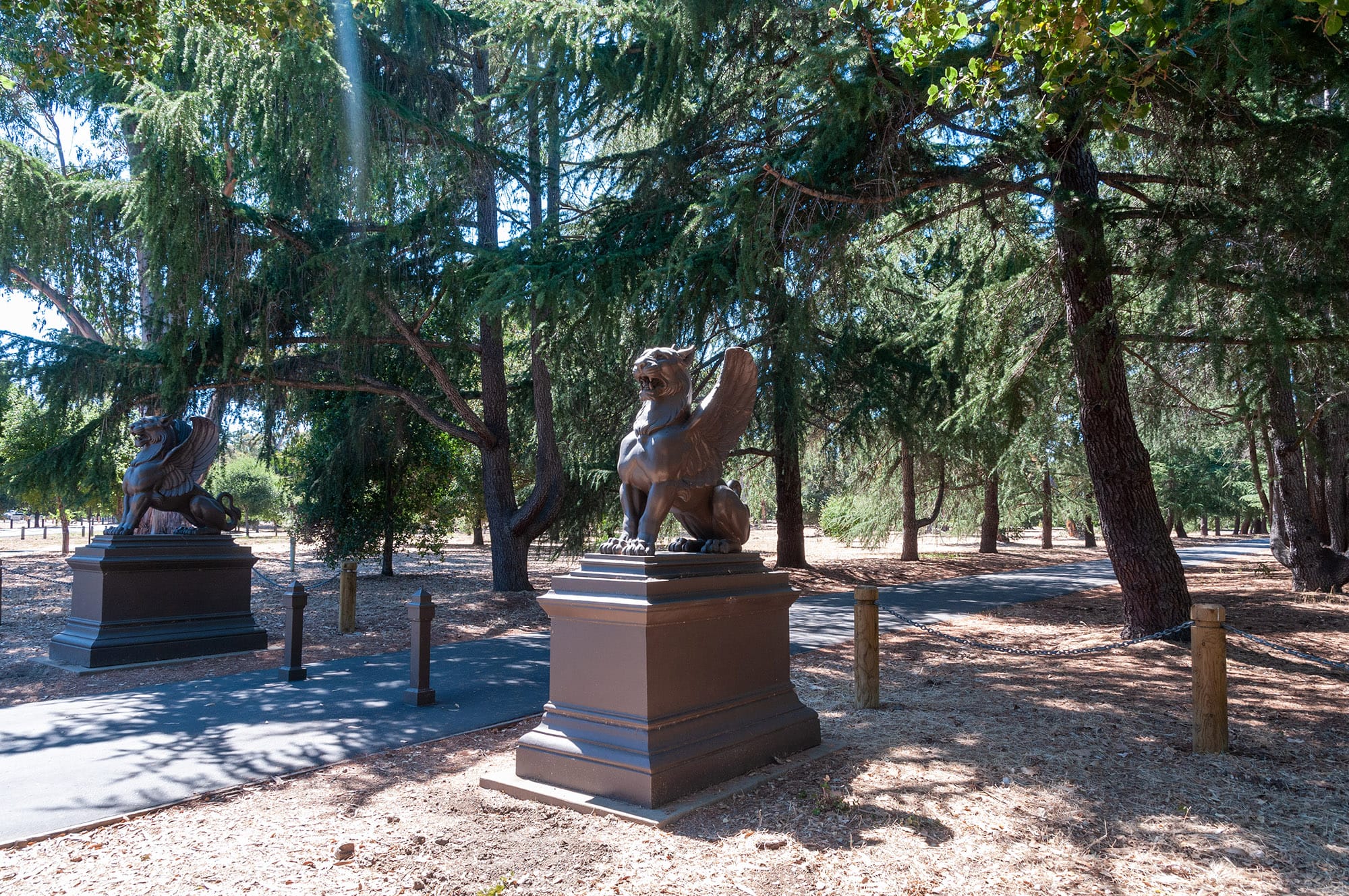 Stanford University