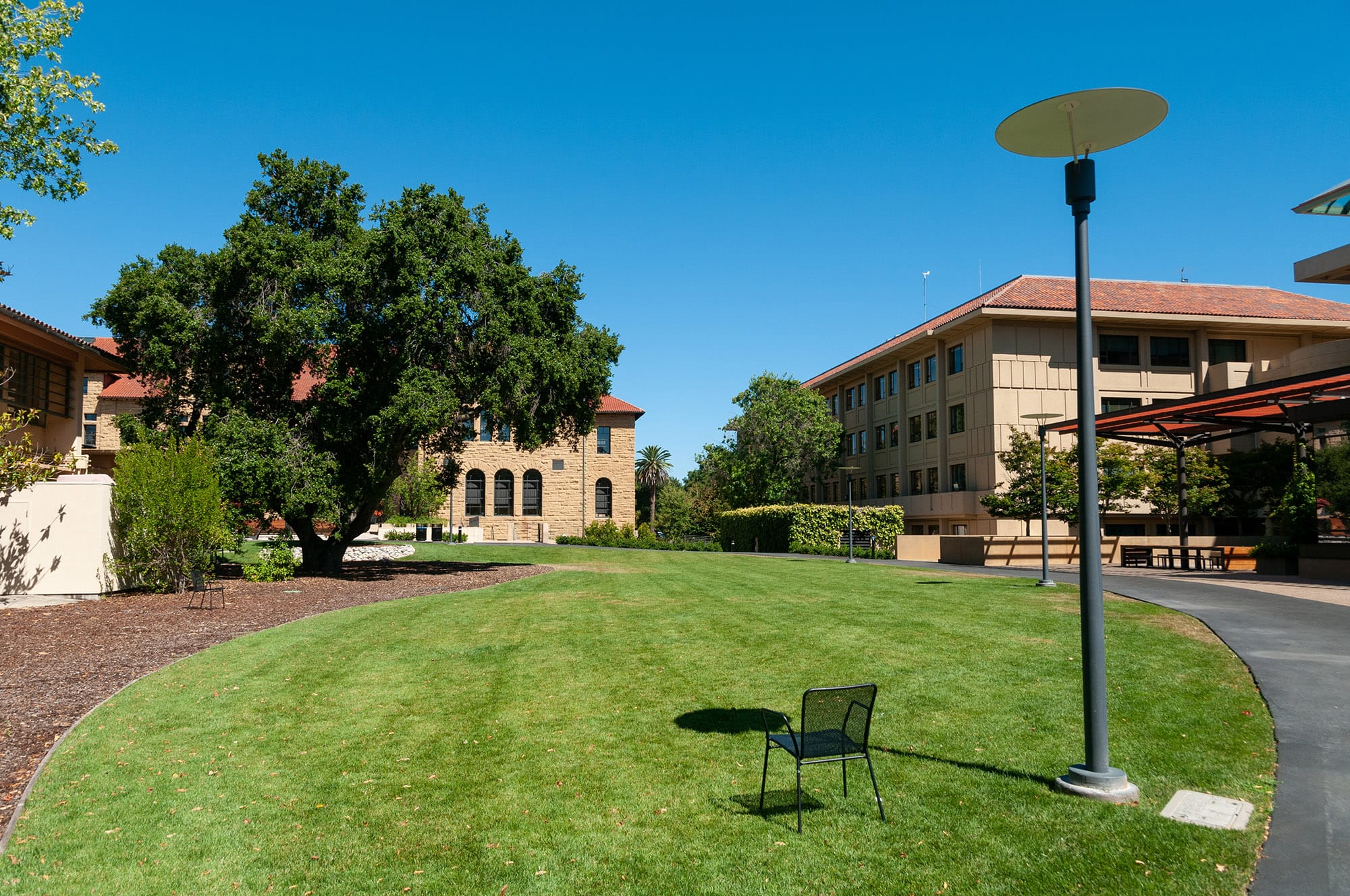 Stanford University
