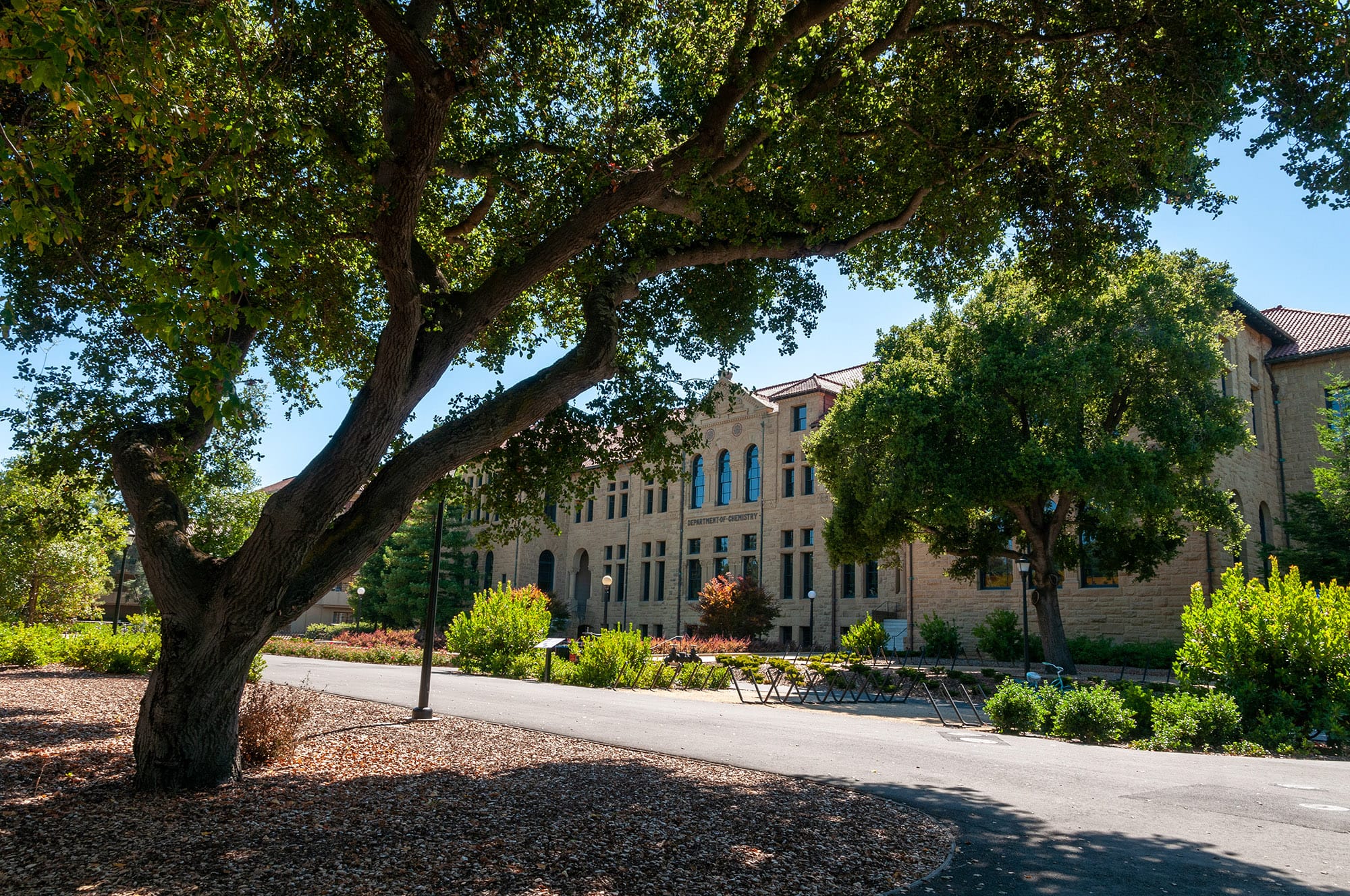 Stanford University