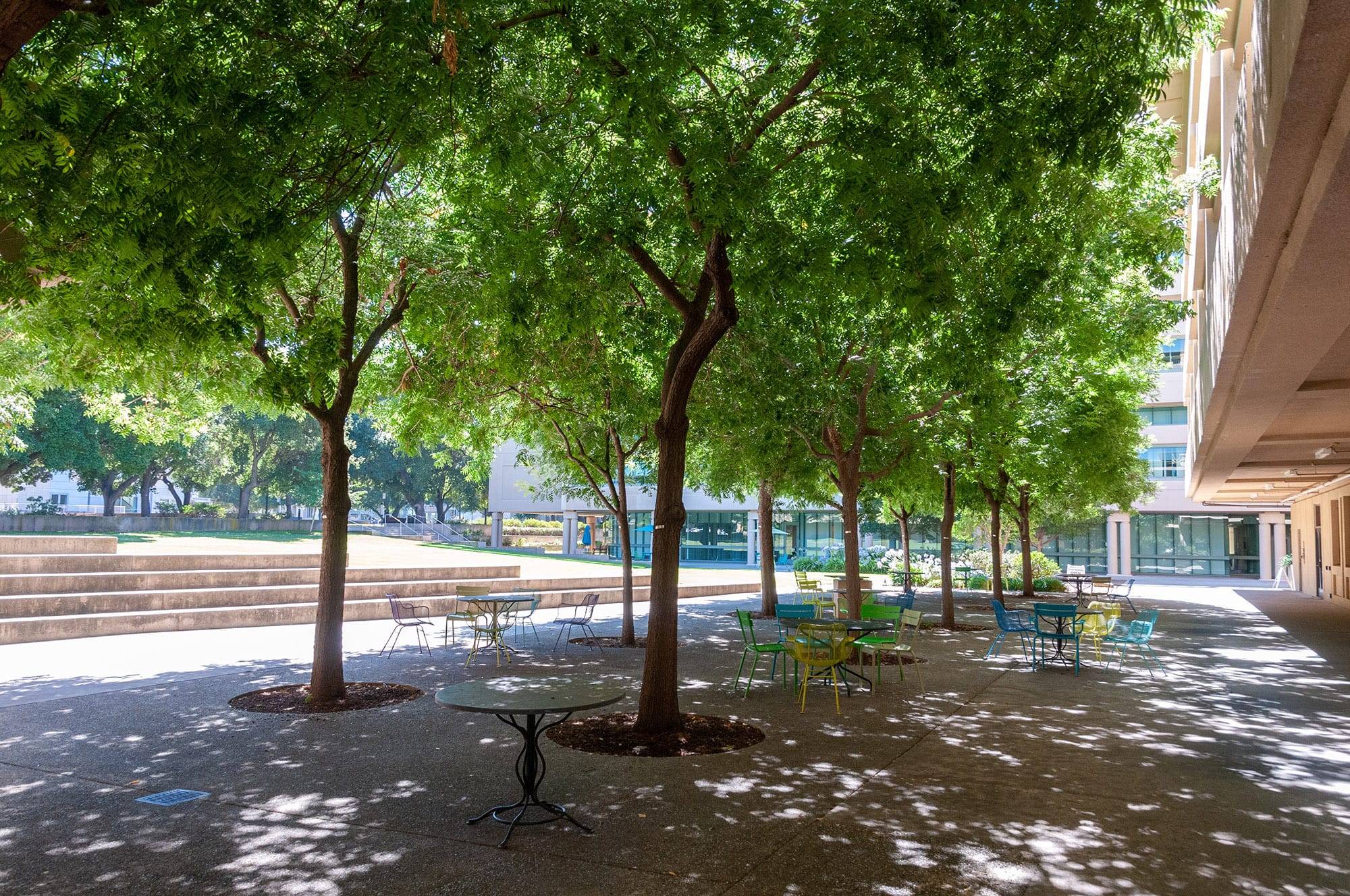 Stanford University