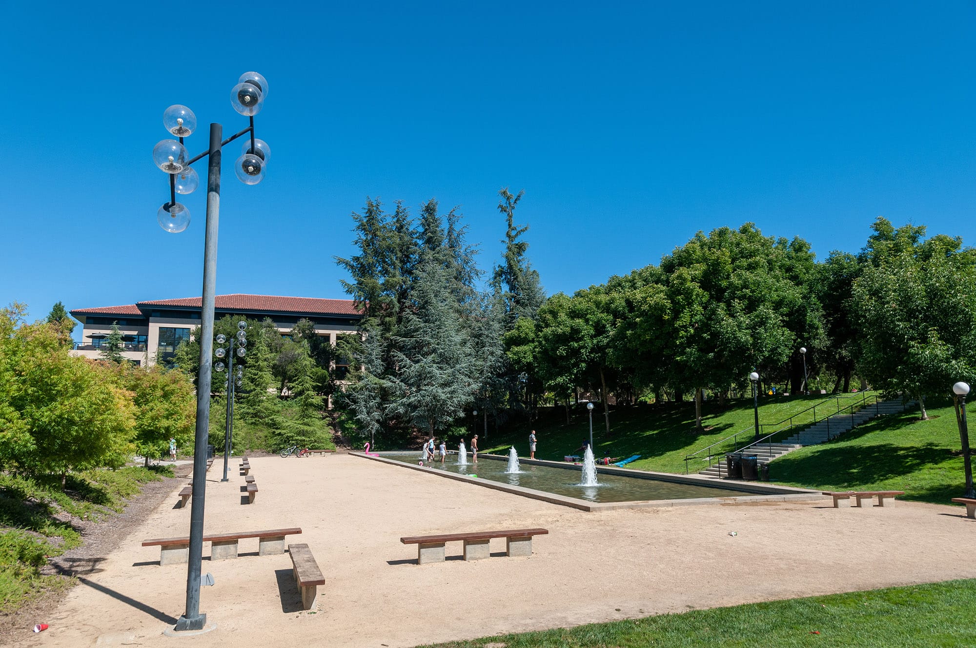 Stanford University