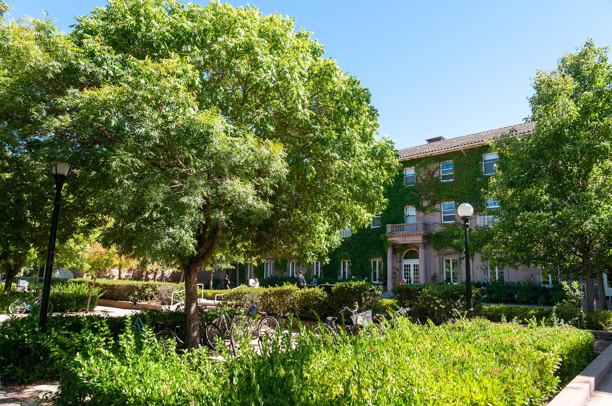 Stanford University