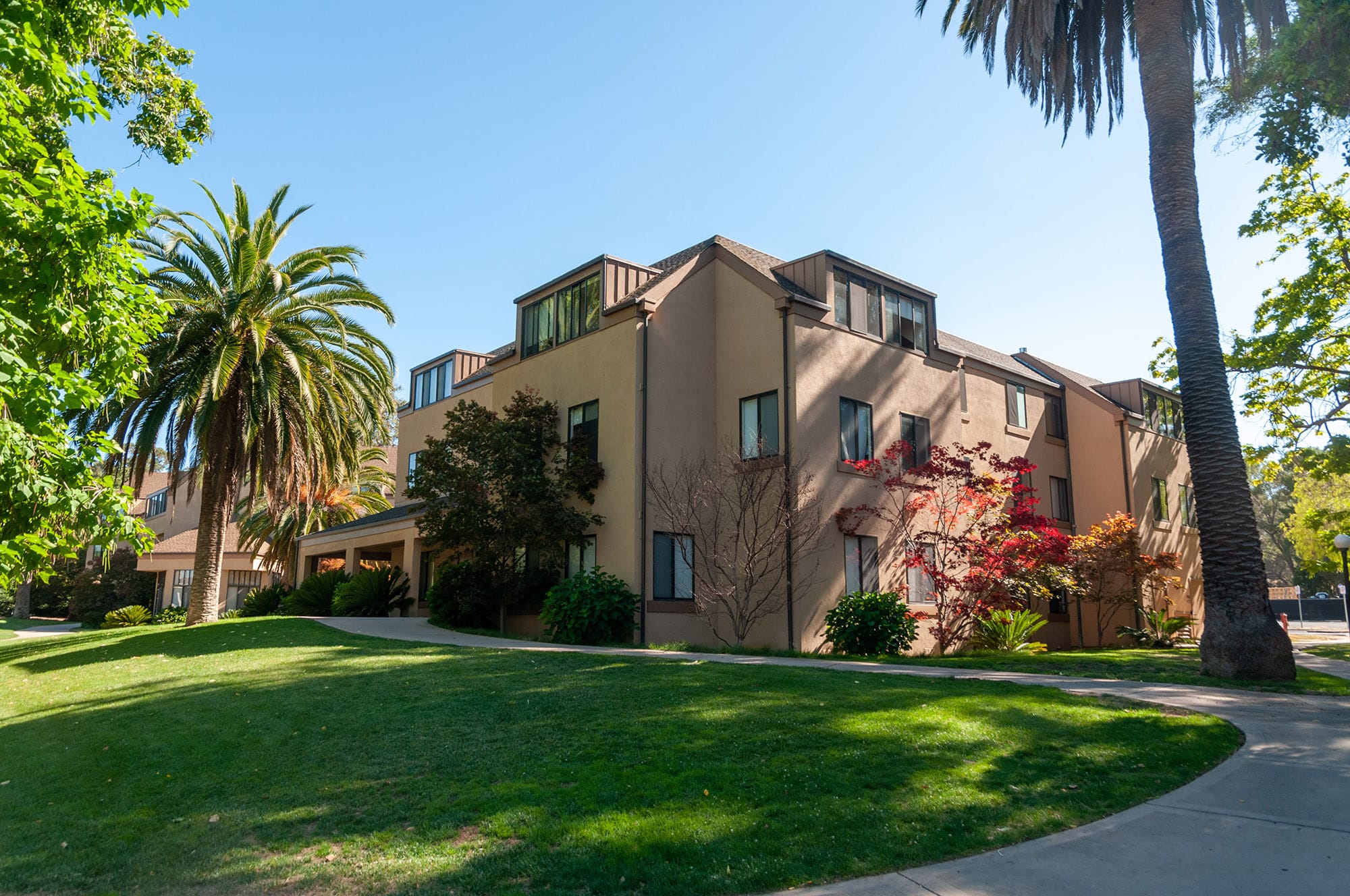 Stanford University