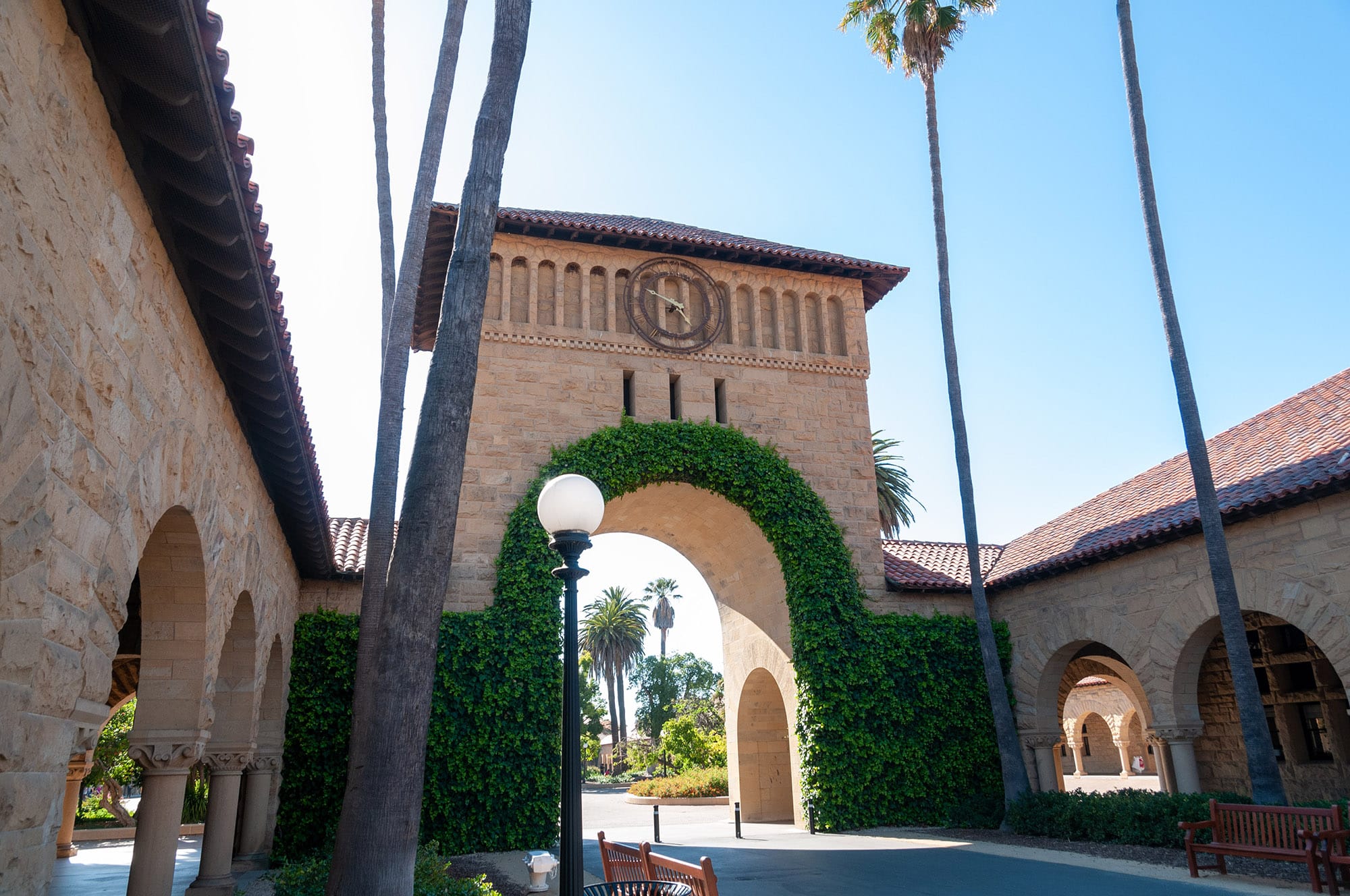 Stanford University