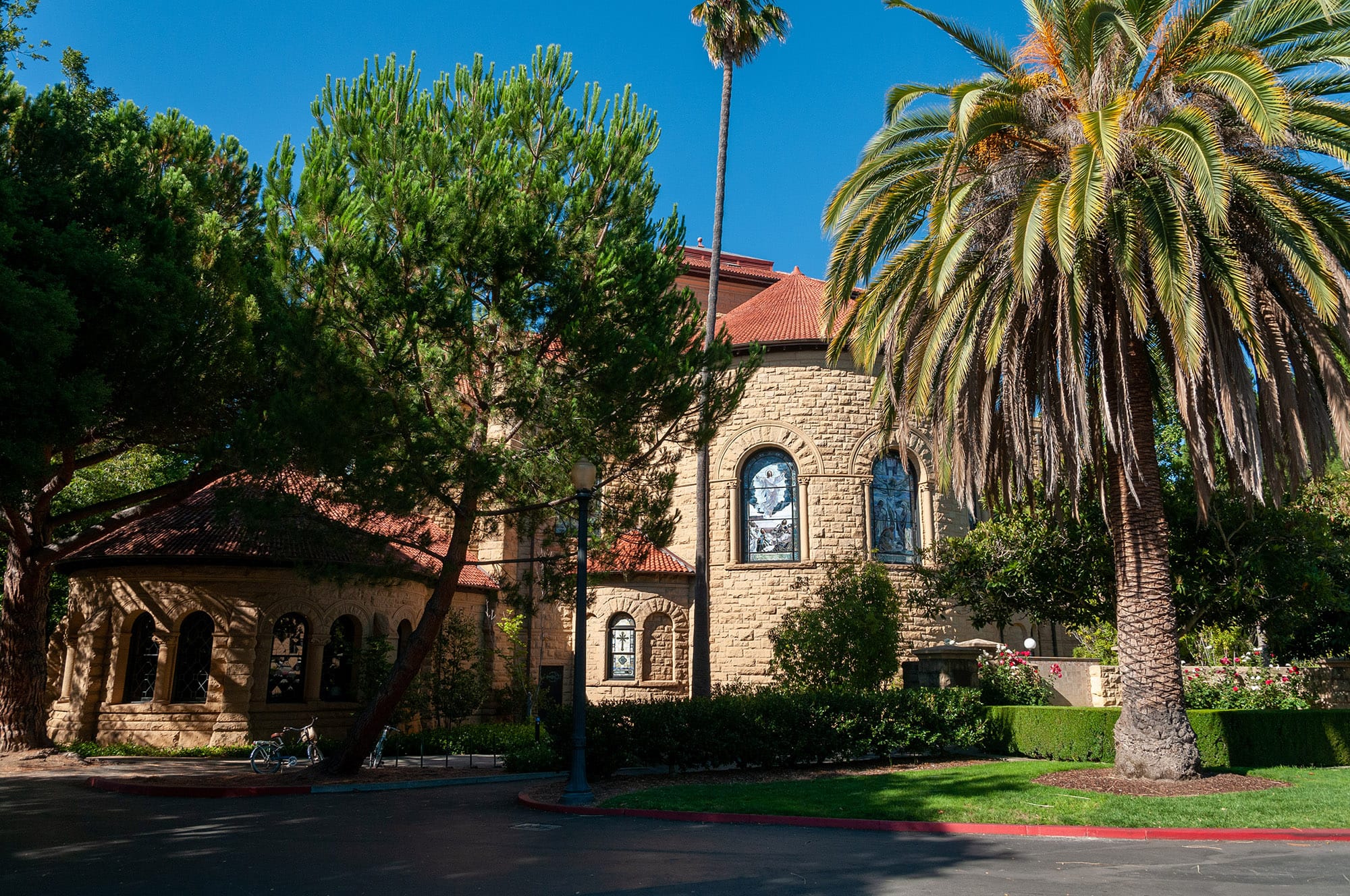 Stanford University
