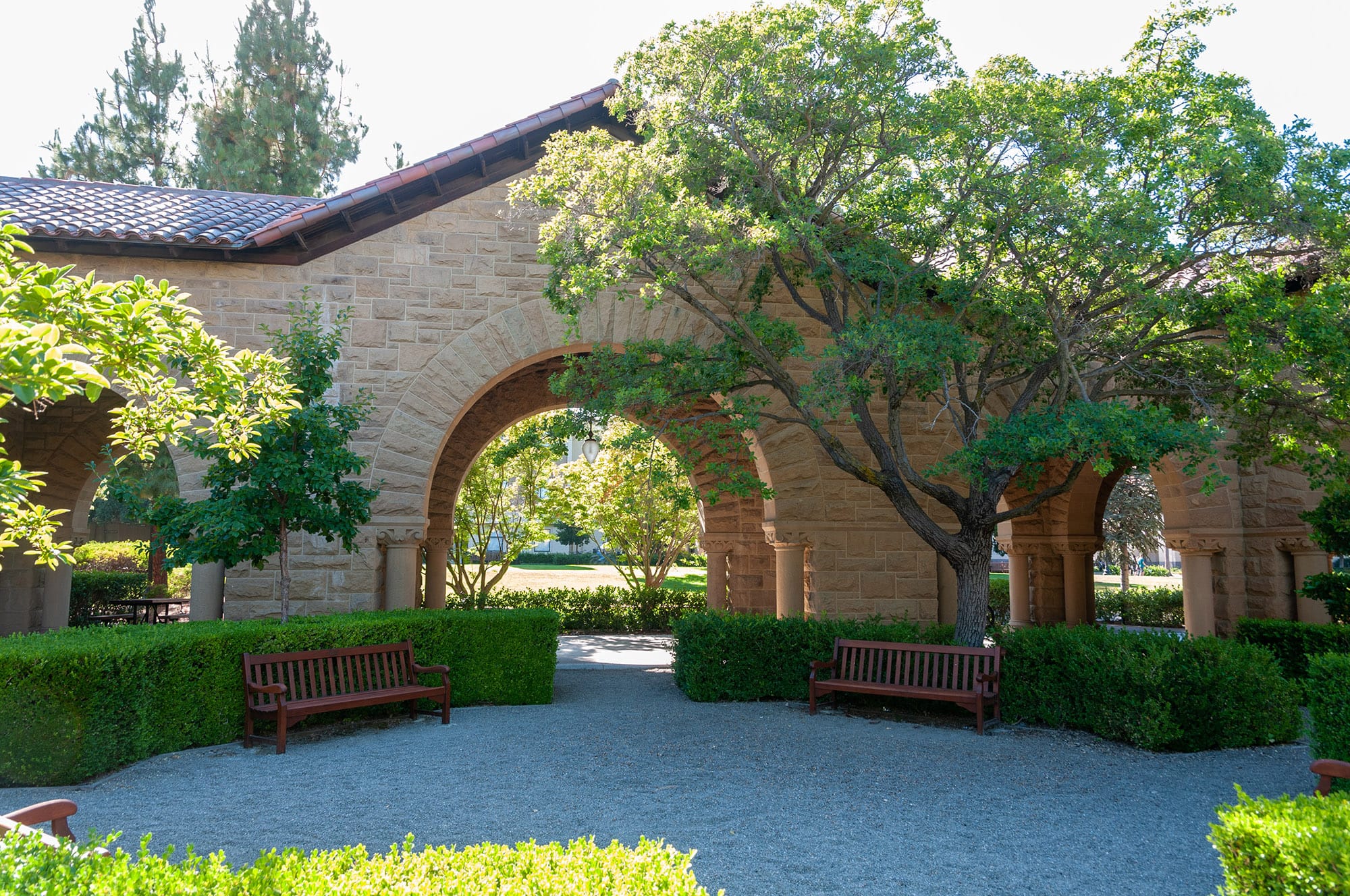 Stanford University