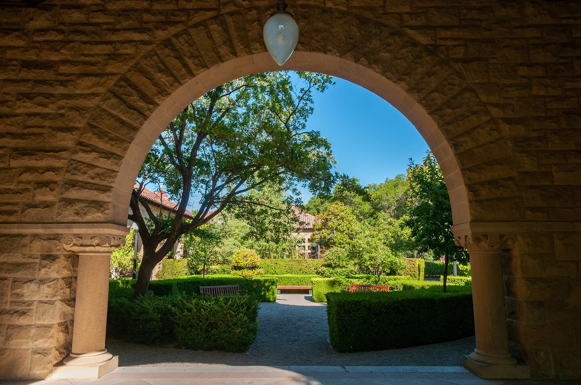 Stanford University