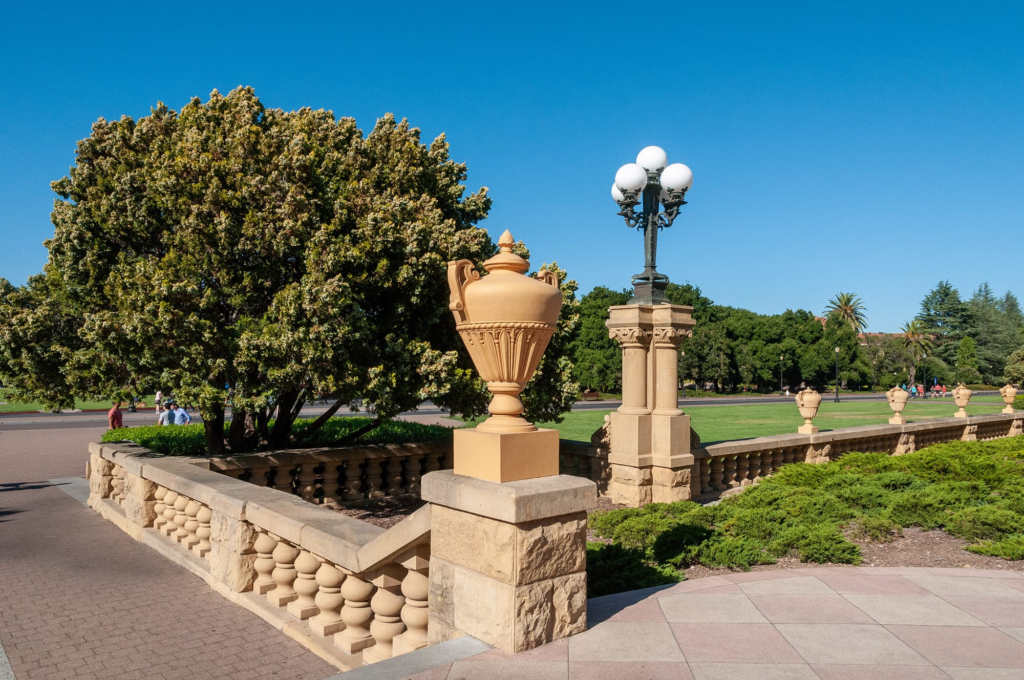 Stanford University