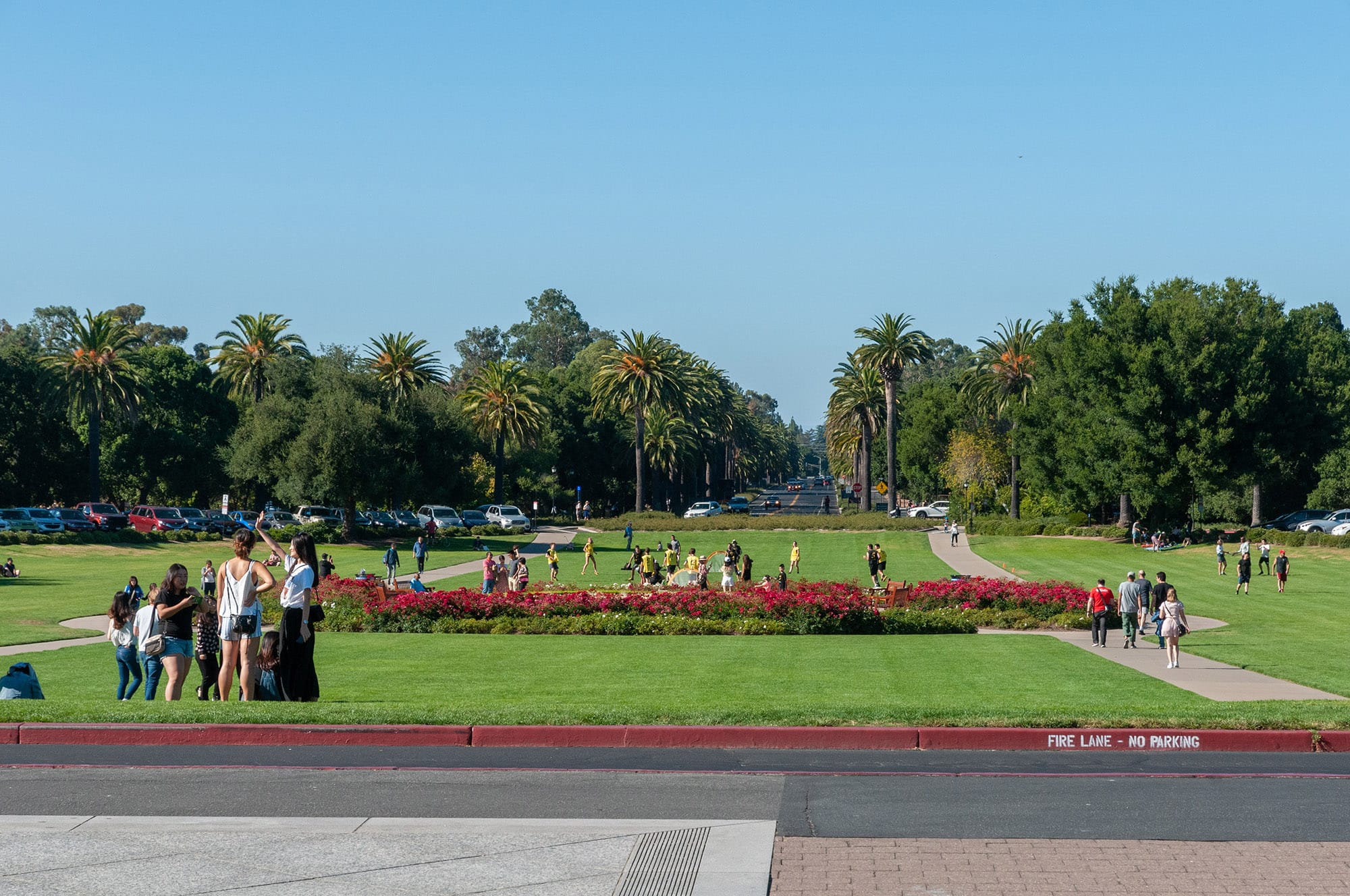 Stanford University