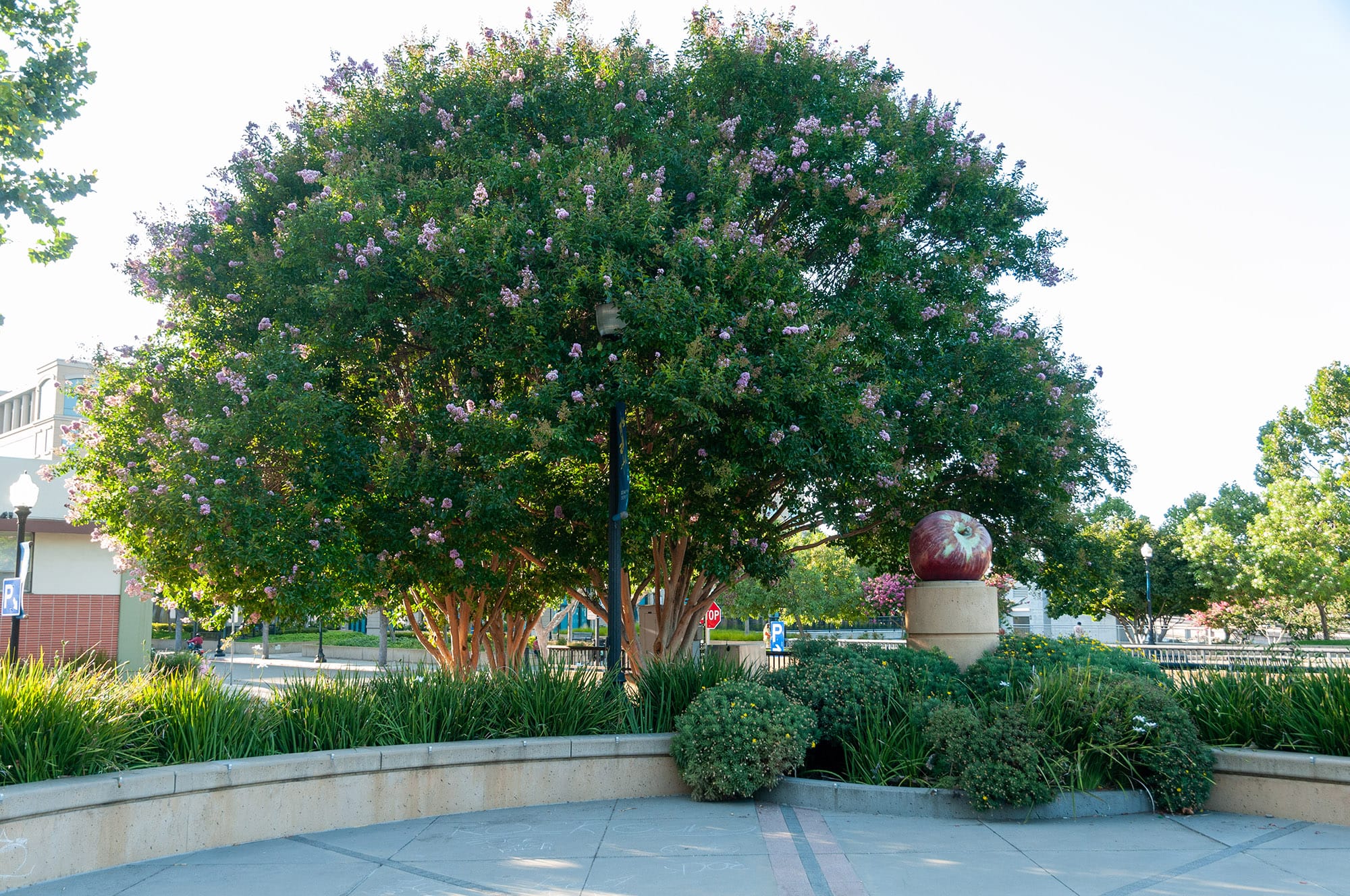 Sunnyvale CA и Mountain View CA