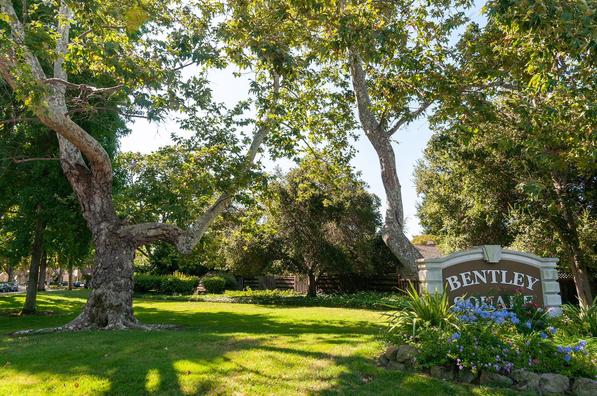 Sunnyvale CA и Mountain View CA