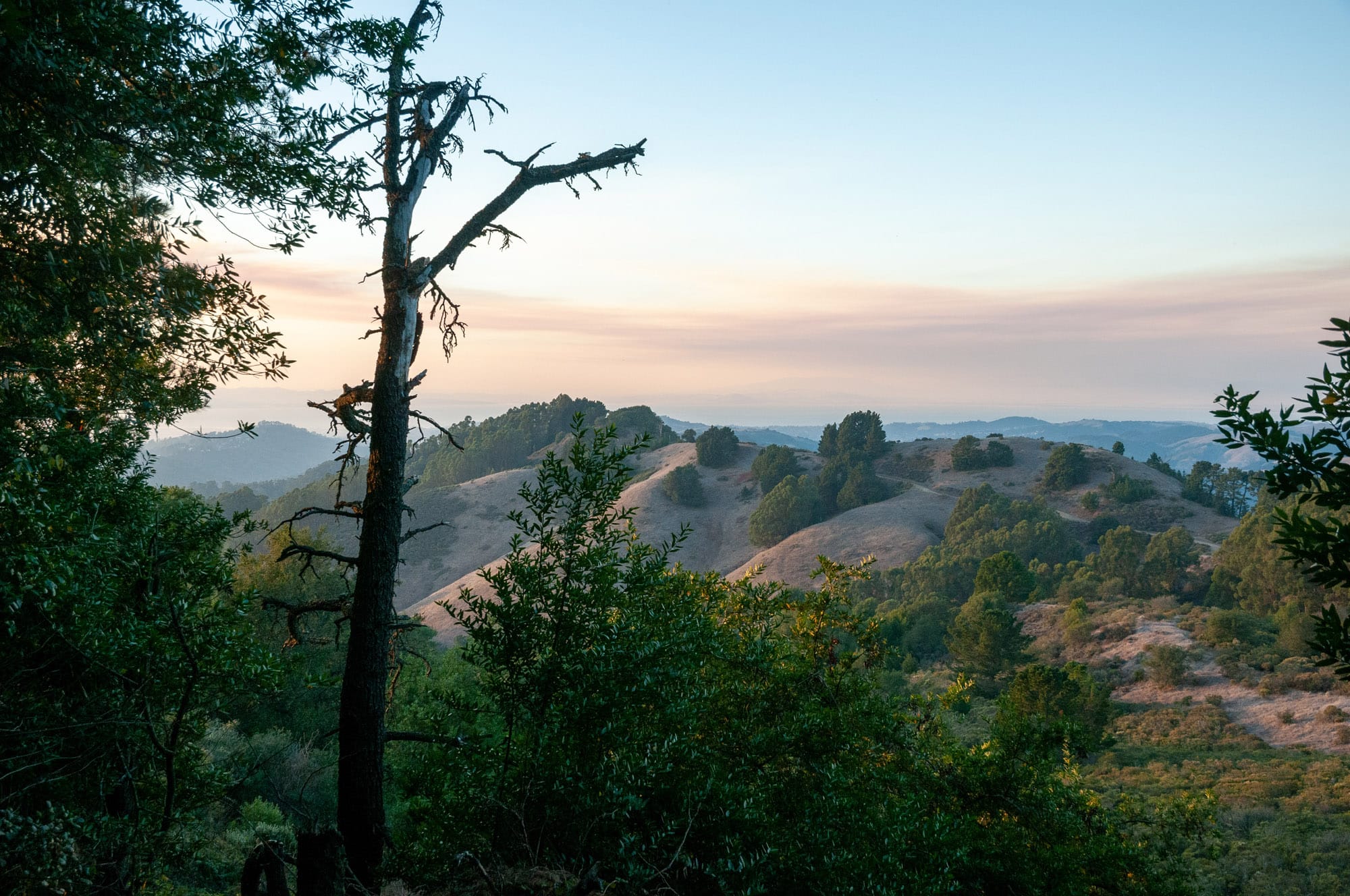 Tilden Regional Park, Orinda, CA