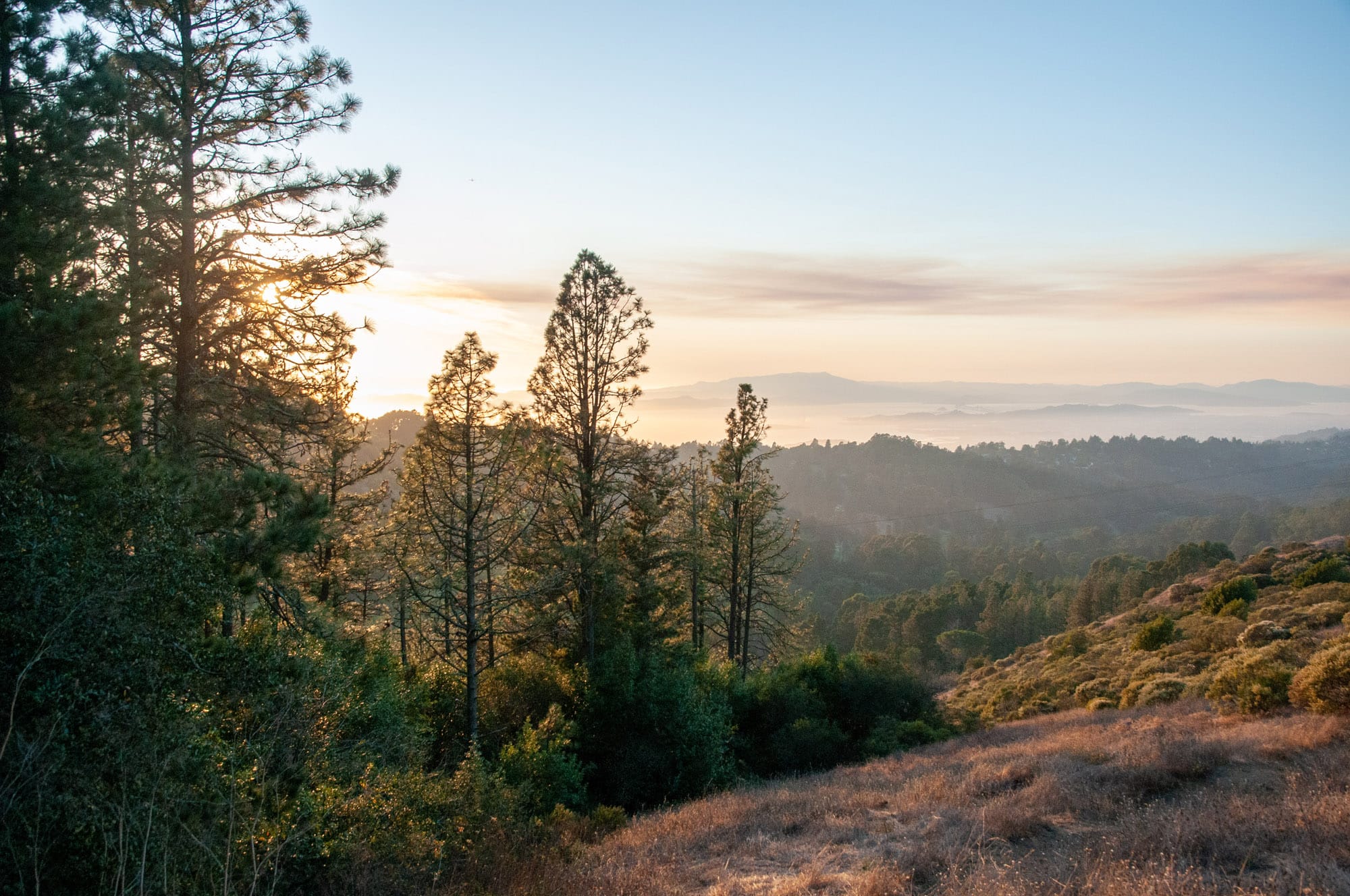 Tilden Regional Park, Orinda, CA