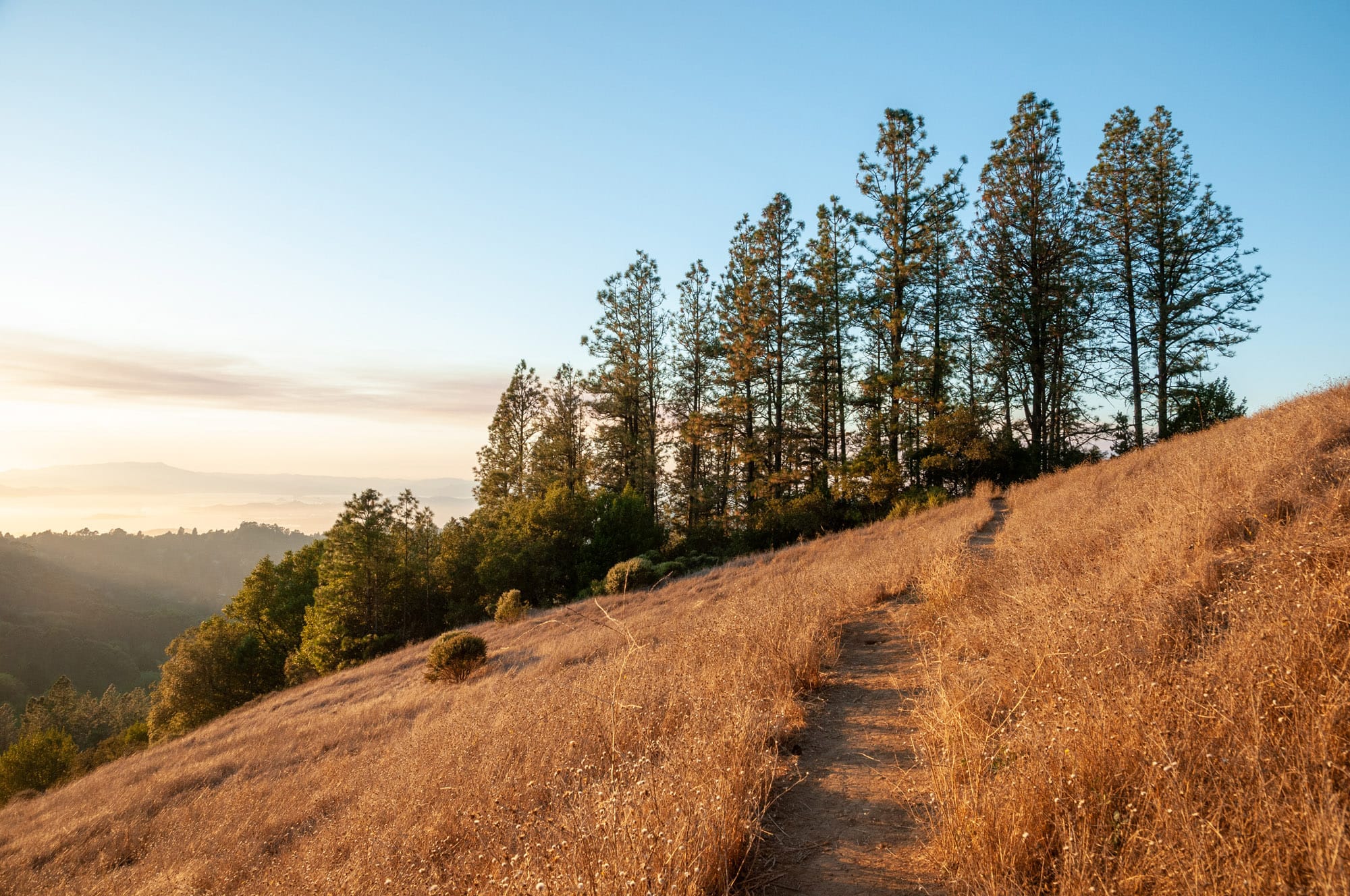 Tilden Regional Park, Orinda, CA