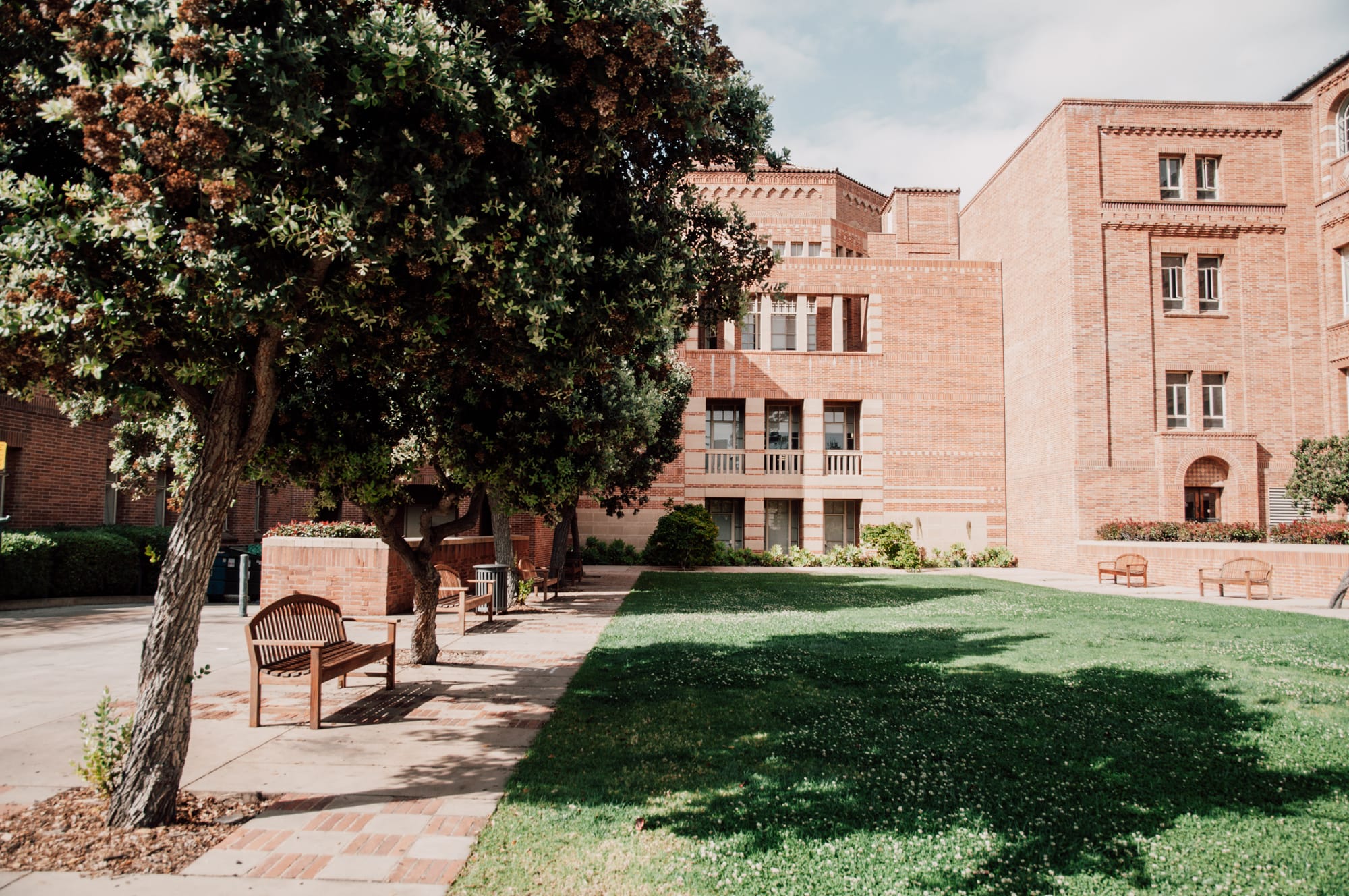 UCLA – University of California, Los Angeles