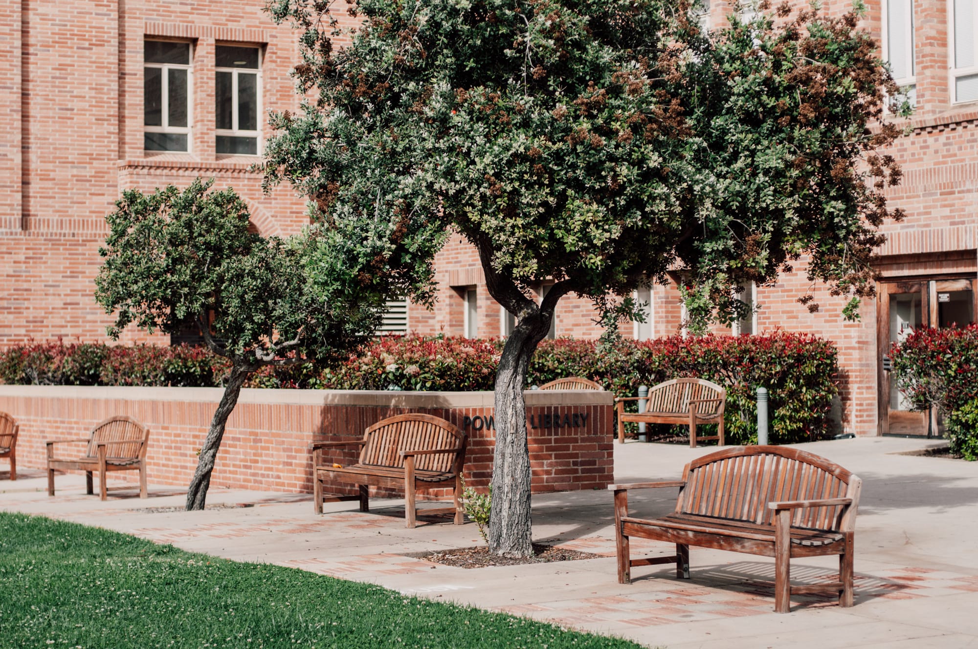 UCLA – University of California, Los Angeles