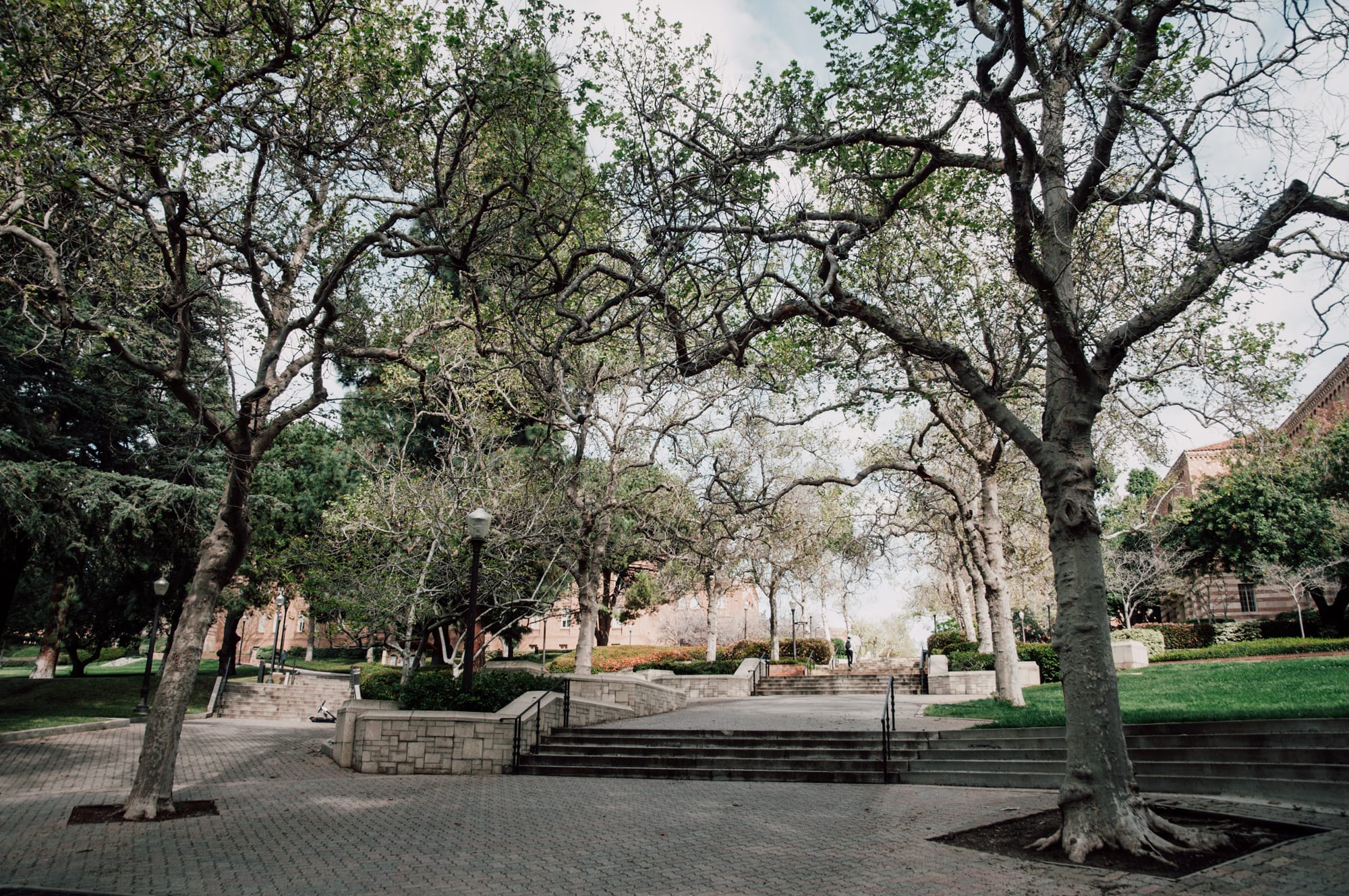 UCLA – University of California, Los Angeles