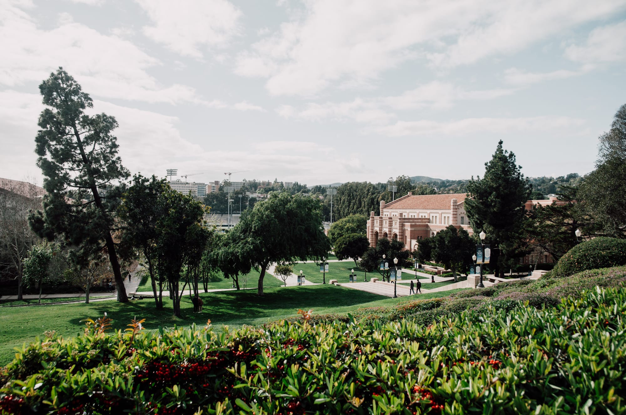 UCLA – University of California, Los Angeles