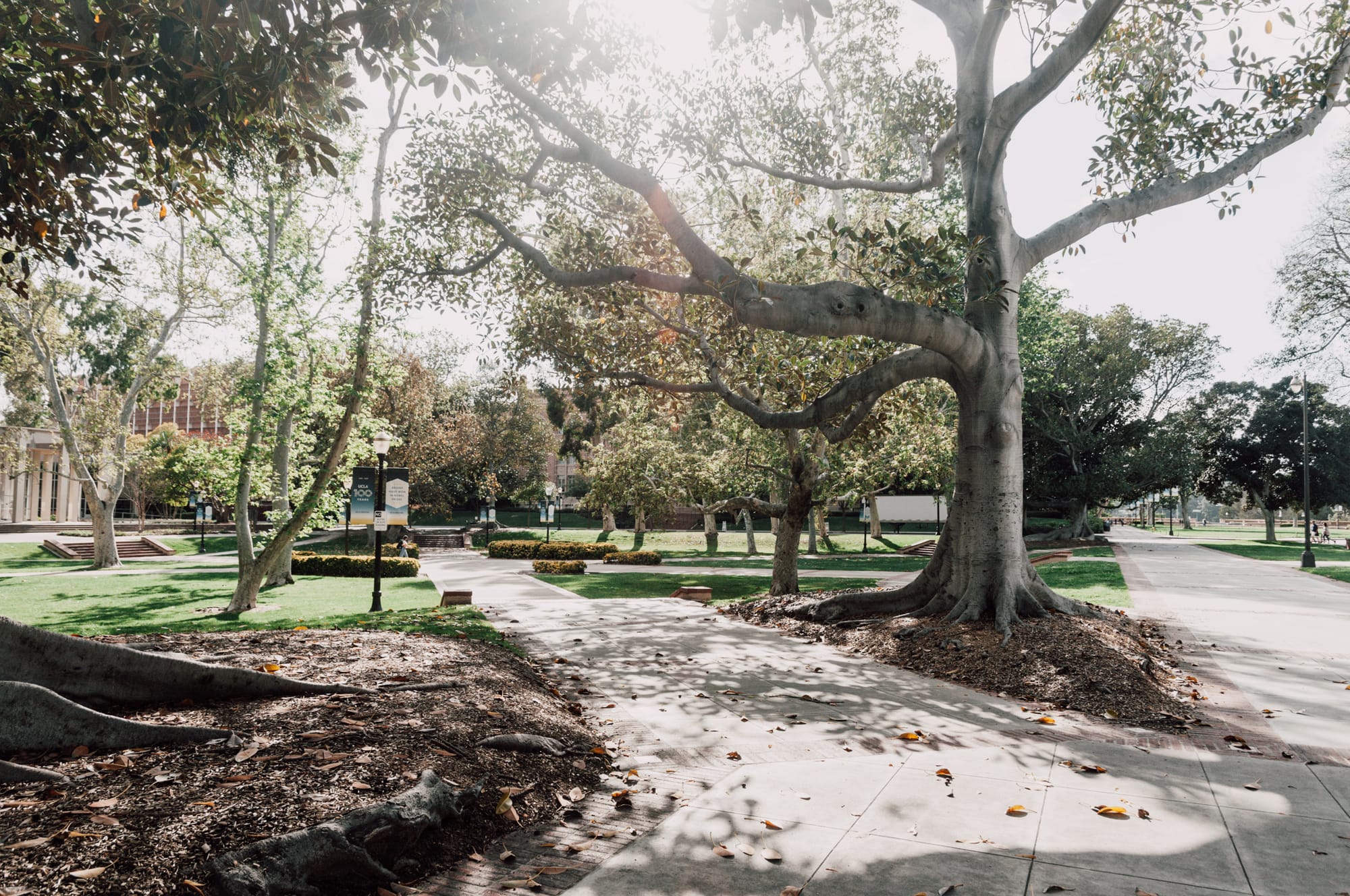 UCLA – University of California, Los Angeles
