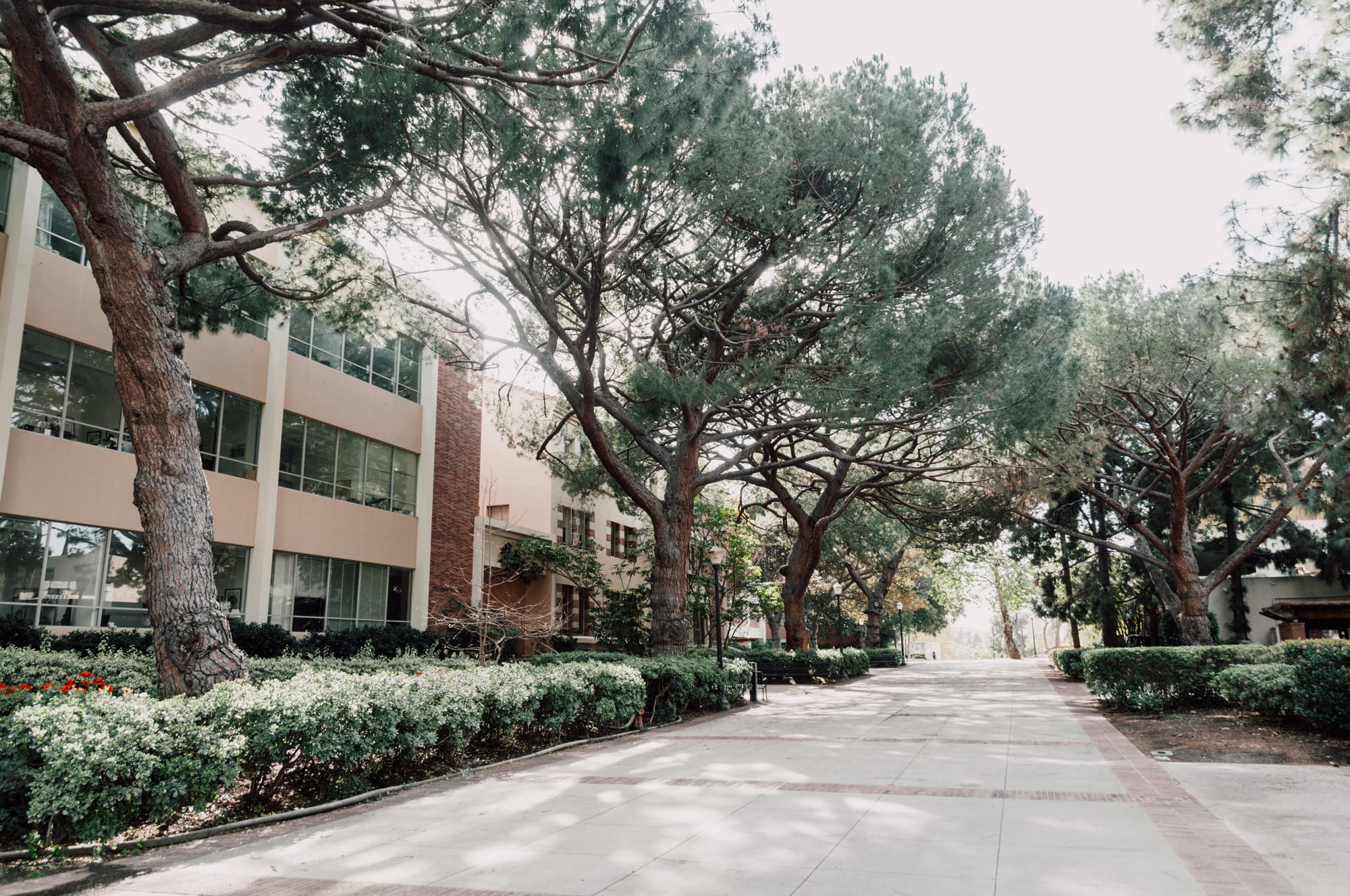 UCLA – University of California, Los Angeles
