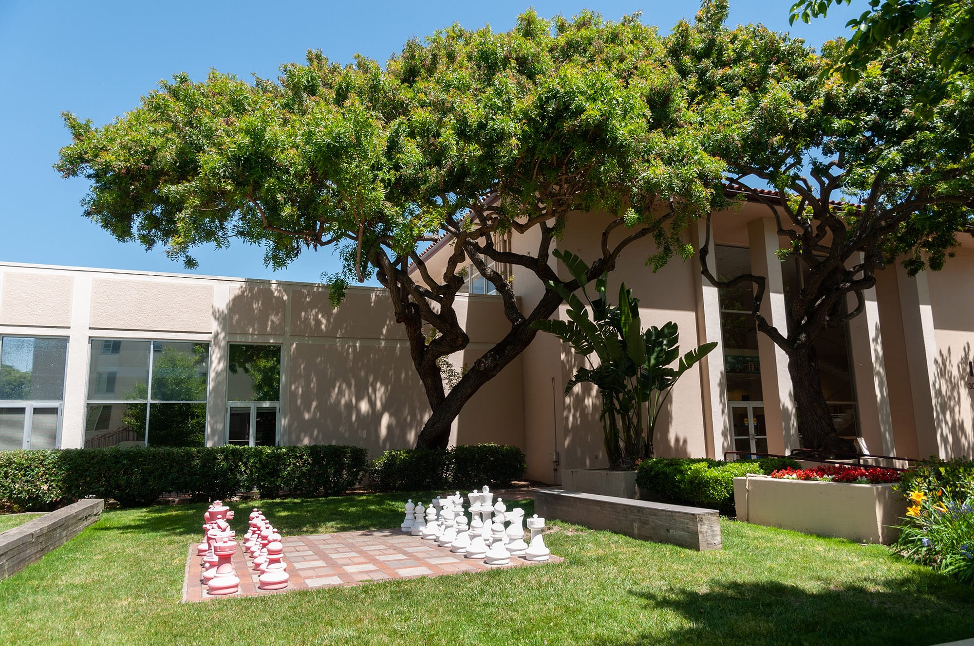 University of Santa Clara