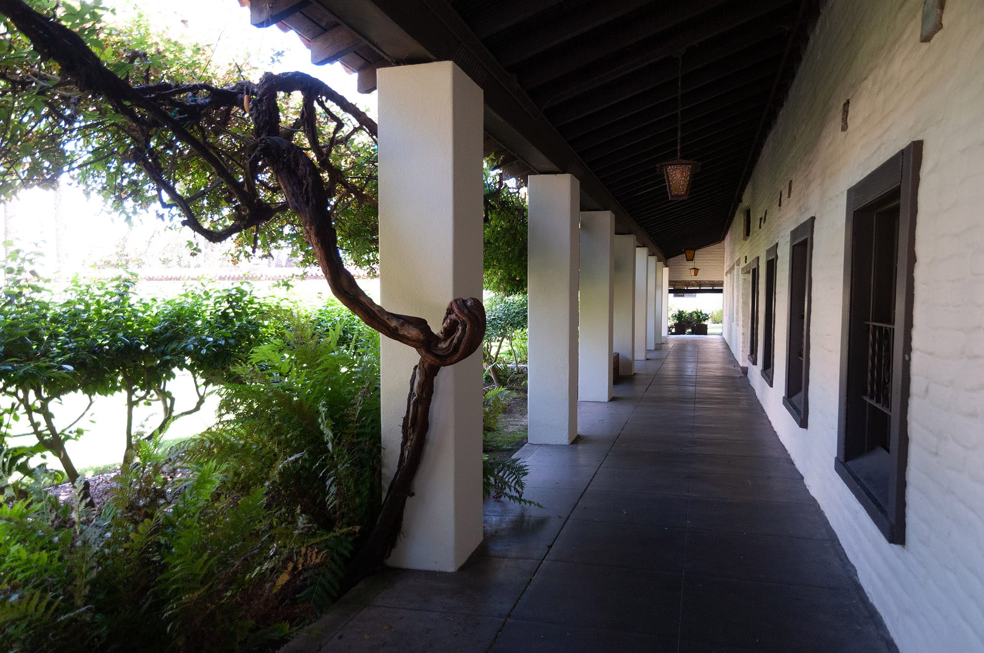 University of Santa Clara