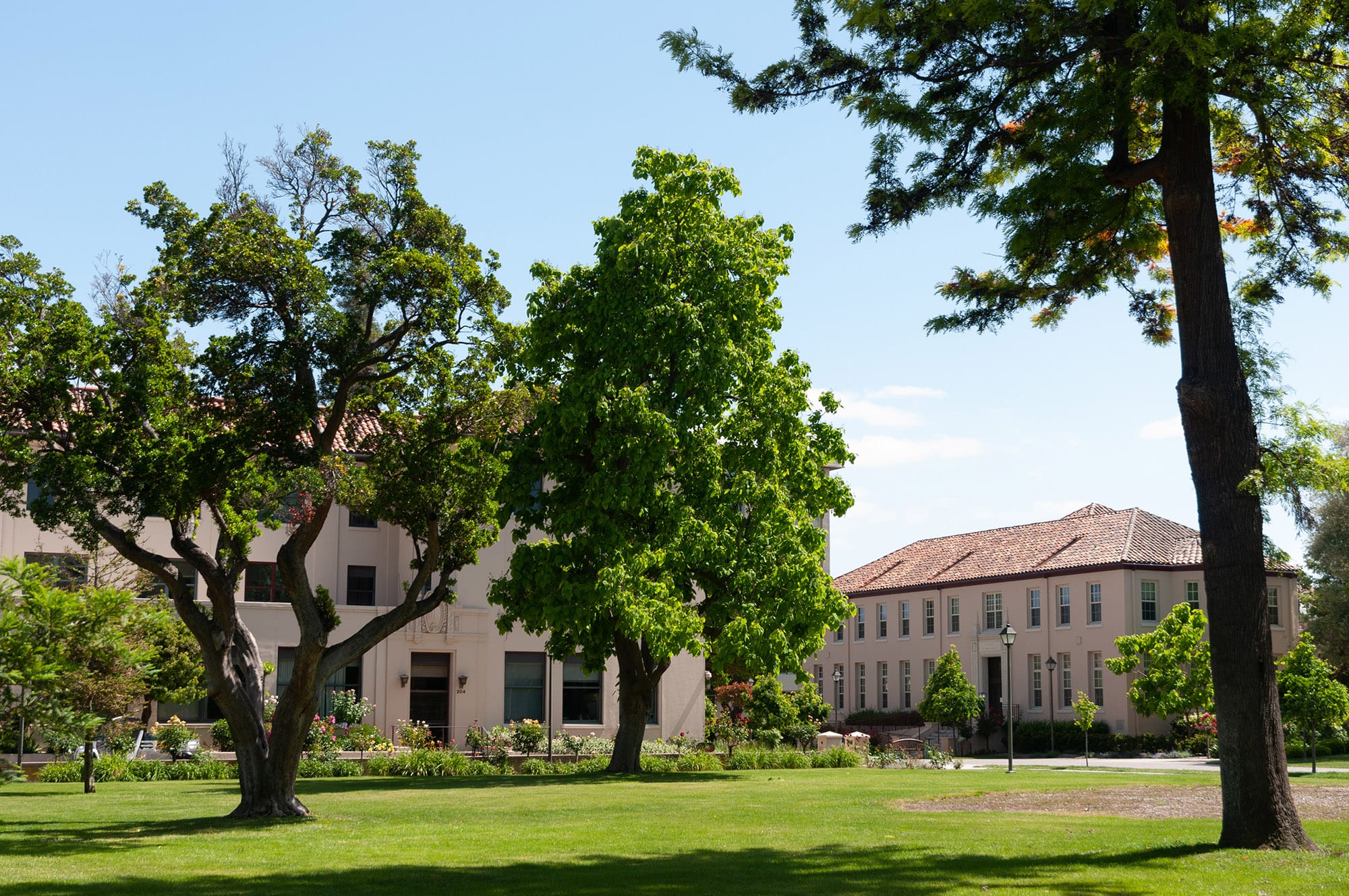 University of Santa Clara