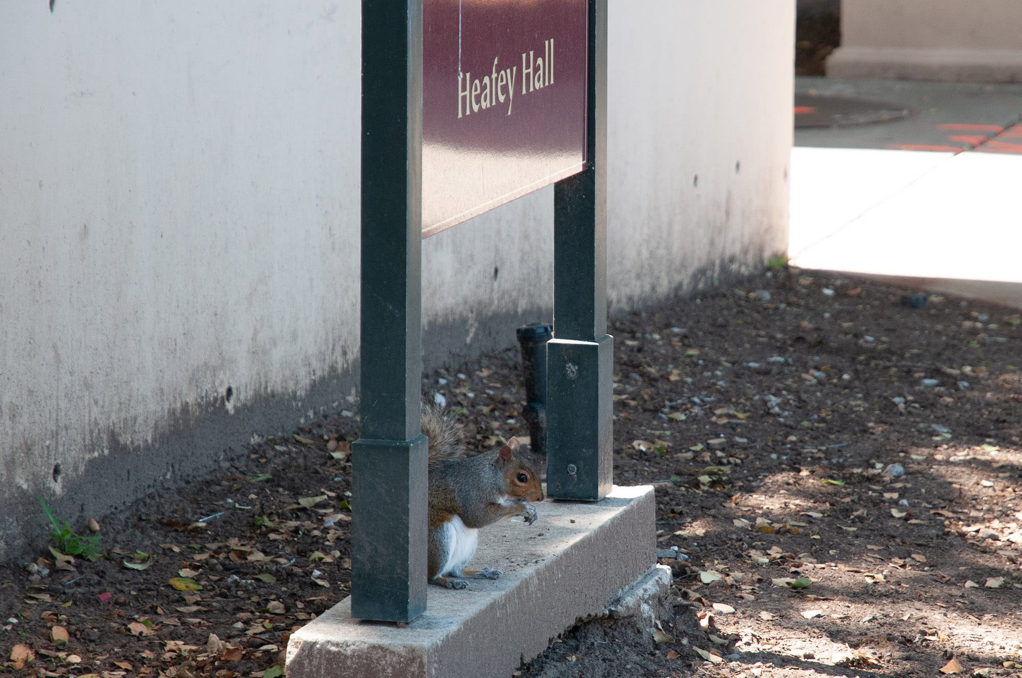 University of Santa Clara