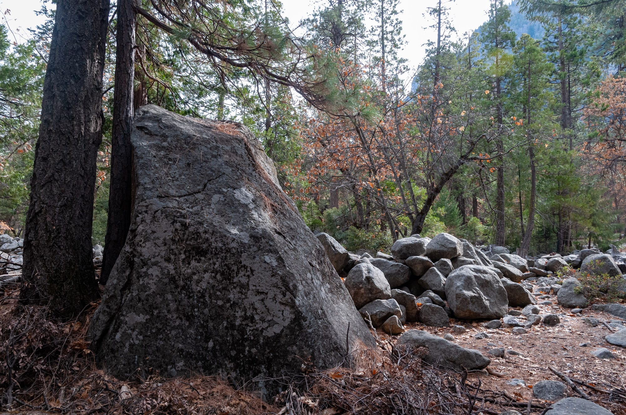 Yosemite National Park