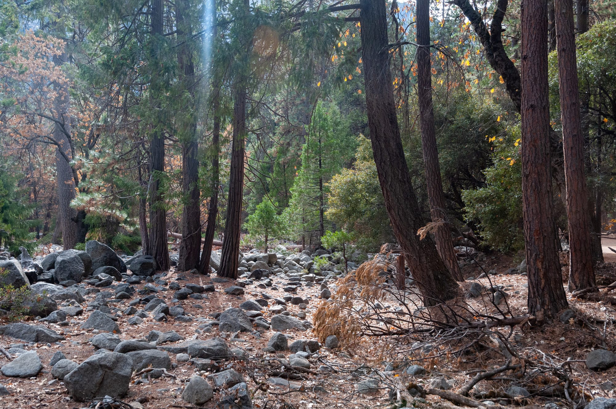Yosemite National Park