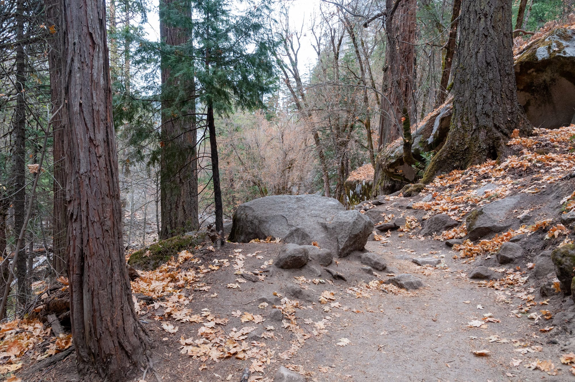 Yosemite National Park