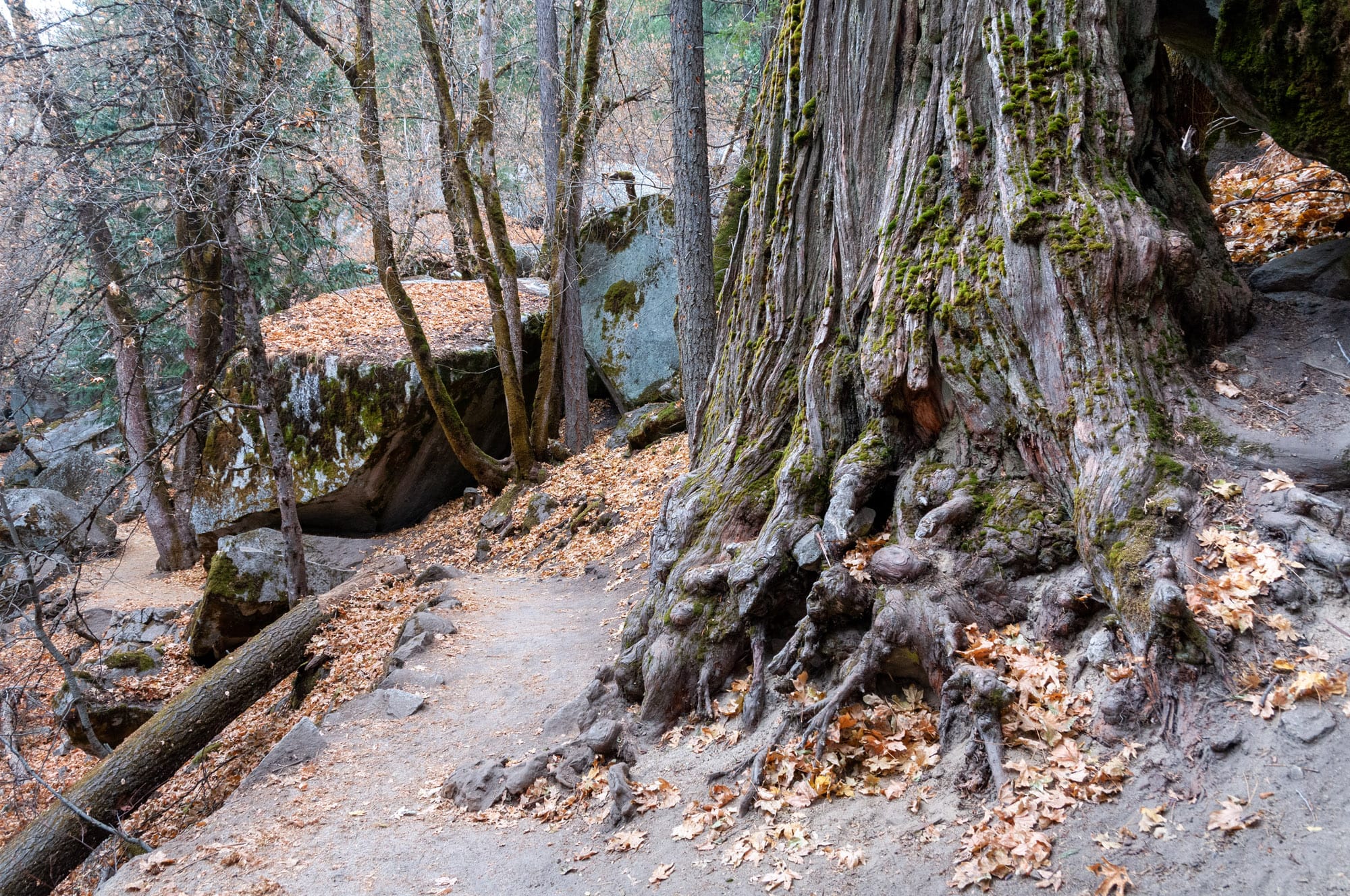 Yosemite National Park
