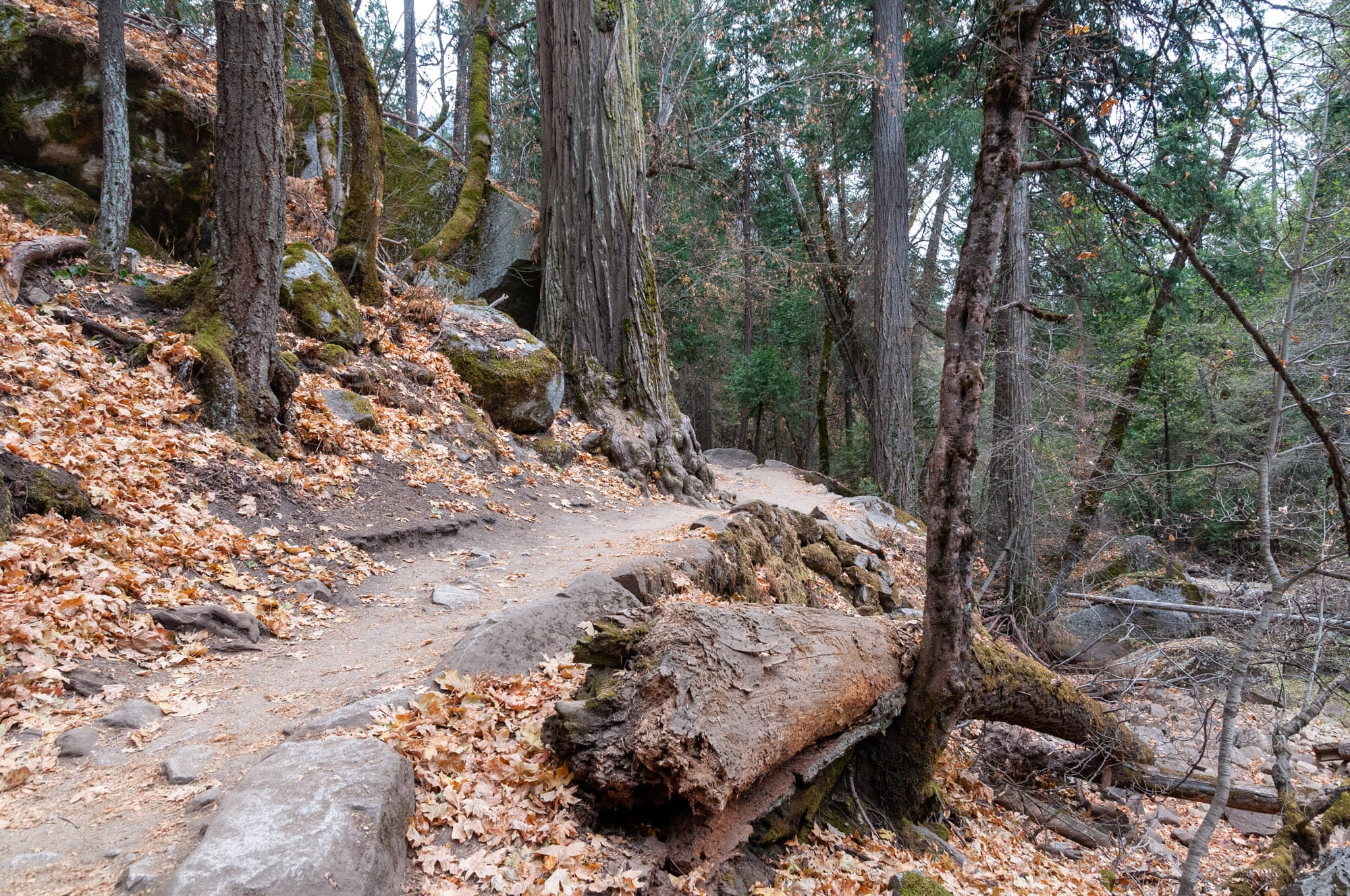 Yosemite National Park